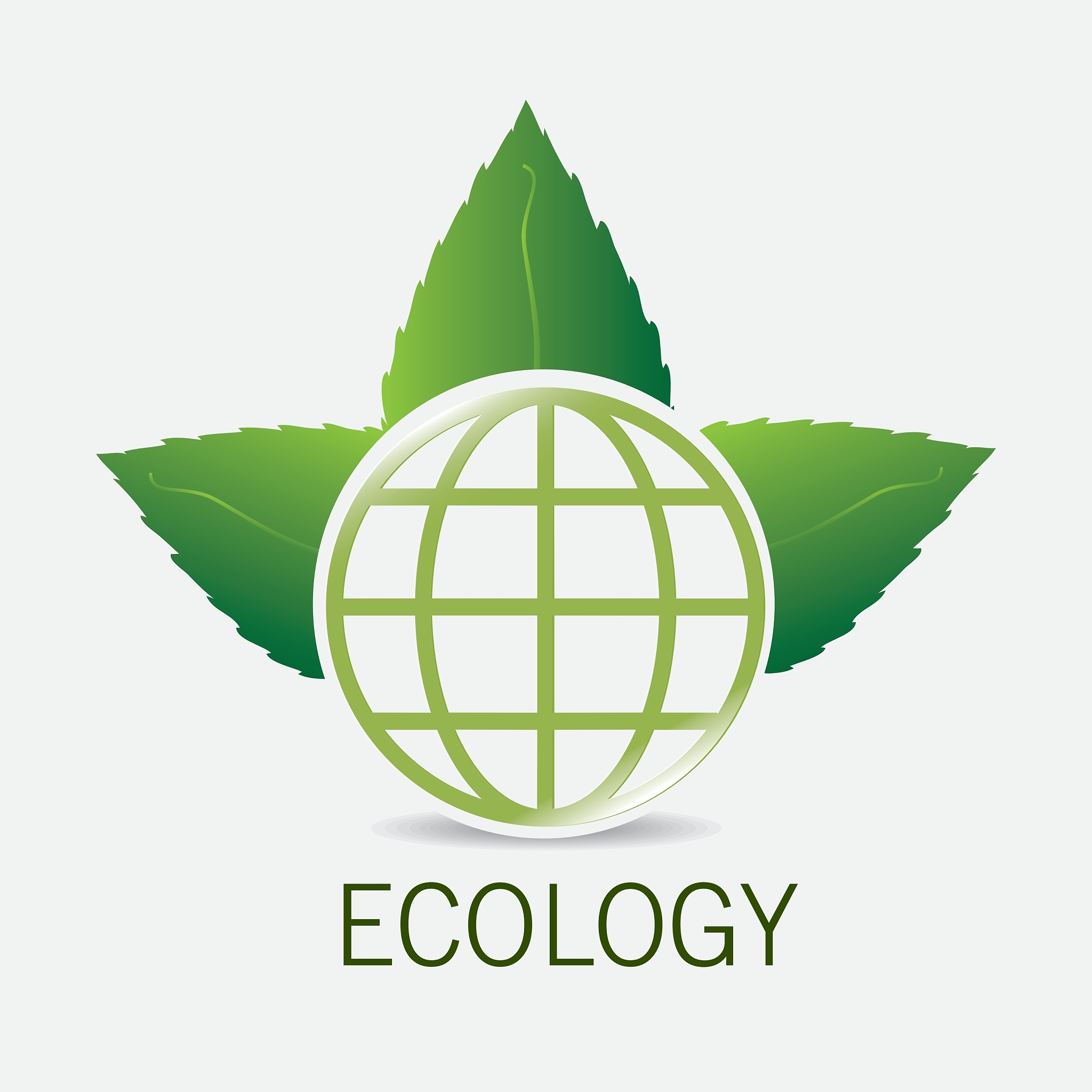 ecology digital design