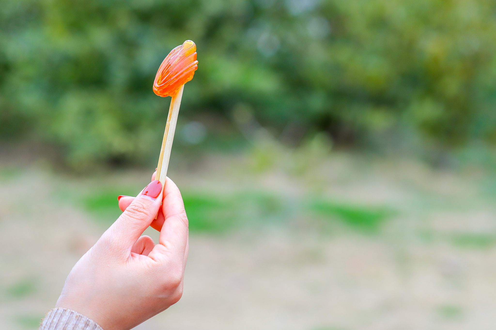 葡萄糖和麦芽三糖糖化对罗氏沼虾肌球蛋白过敏原性影响的比较研究