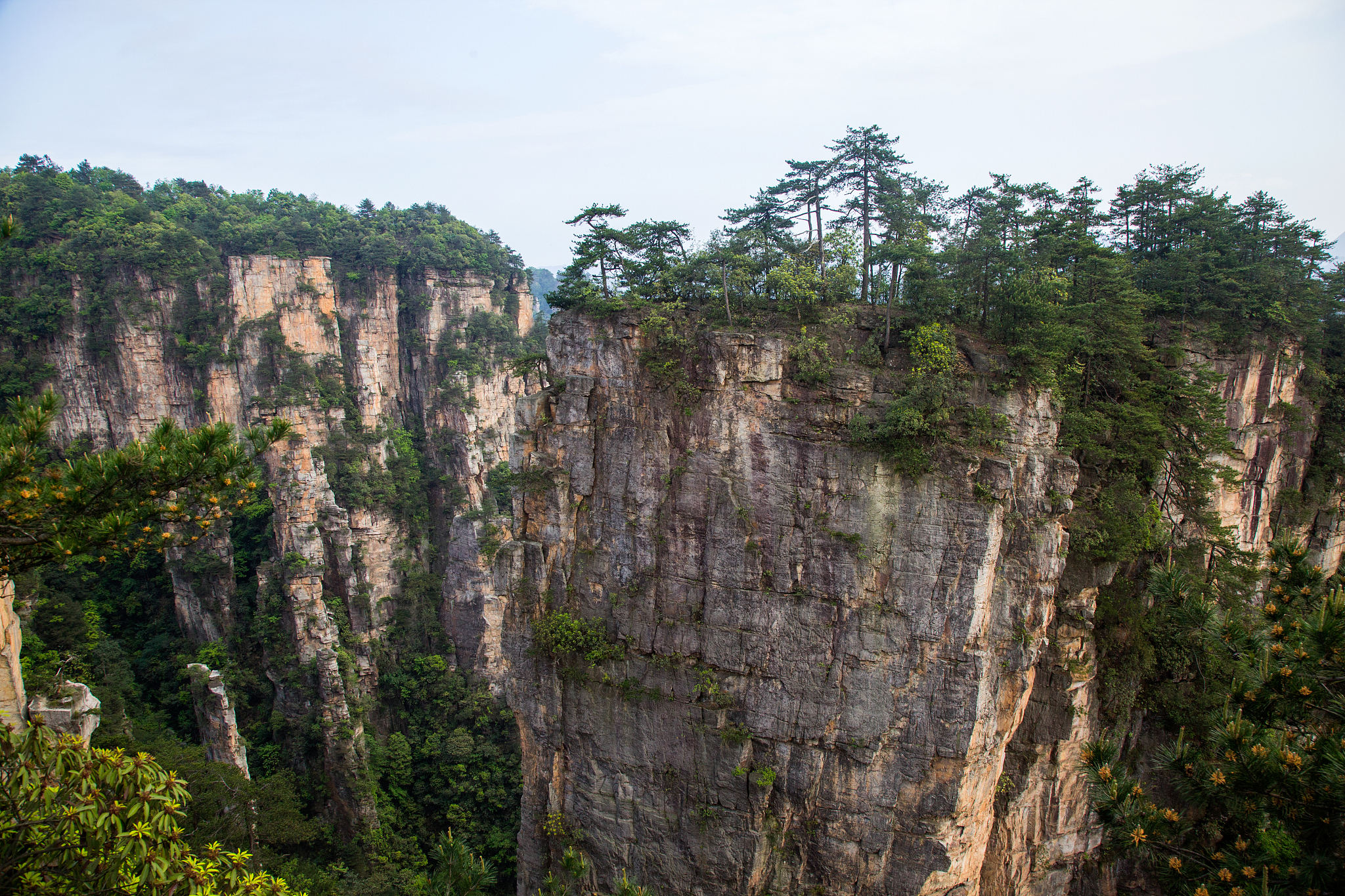 张家界航空工业职业技术学院招生专业介绍 - 机械、电子、计算机等领域专业详解