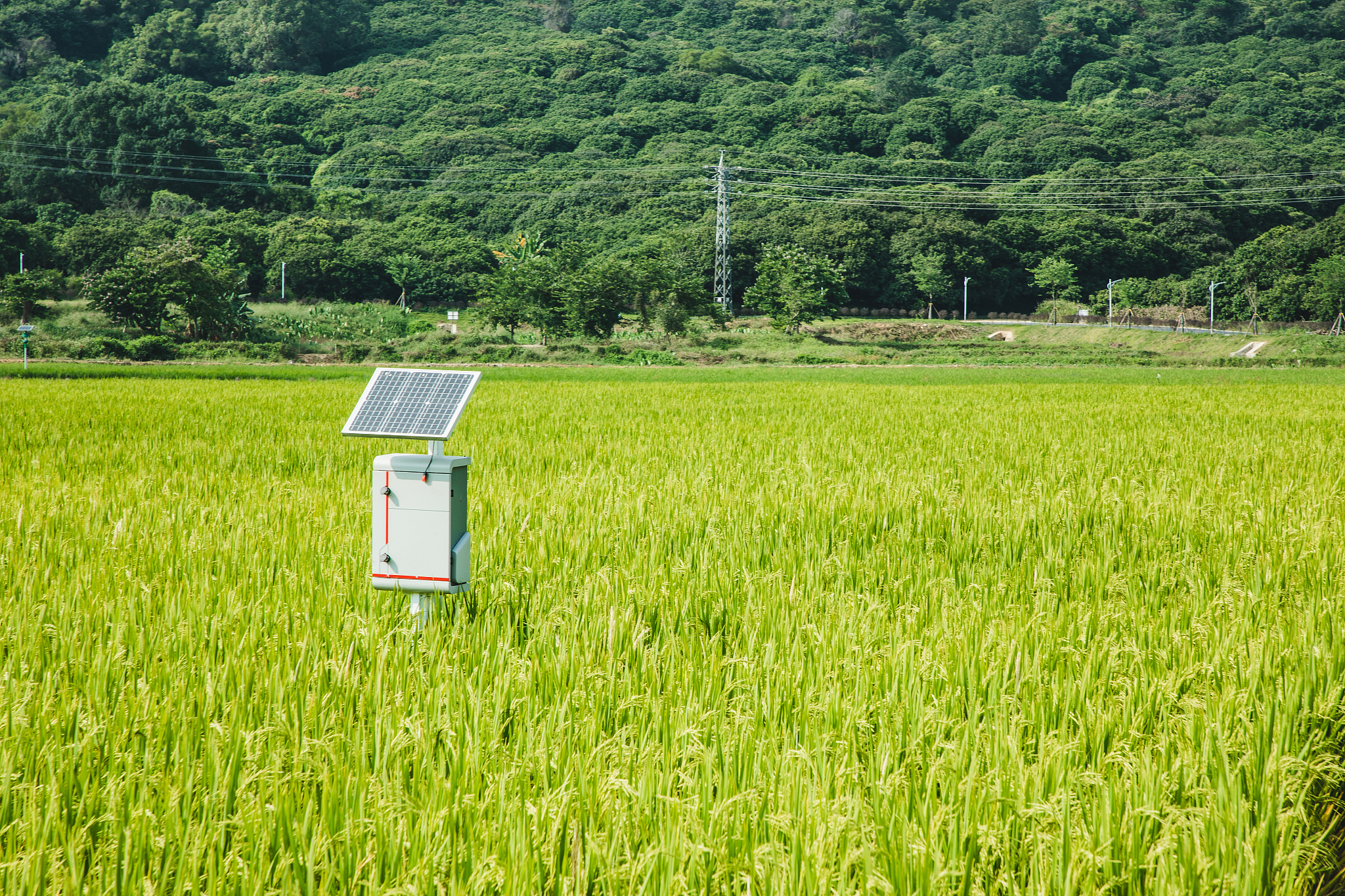 基于智能农业技术的粮食产量预测与优化