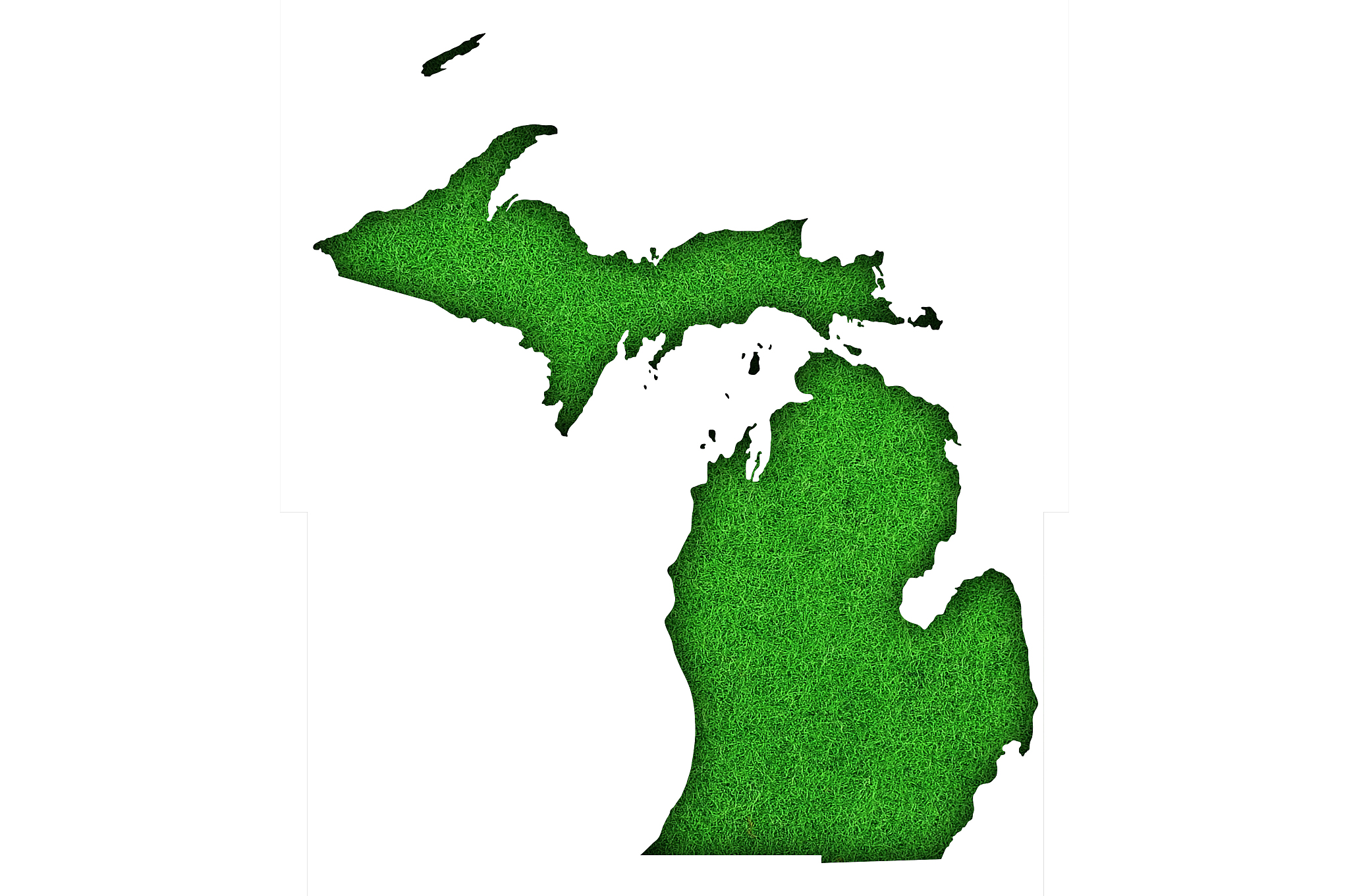 map of michigan on green felt,