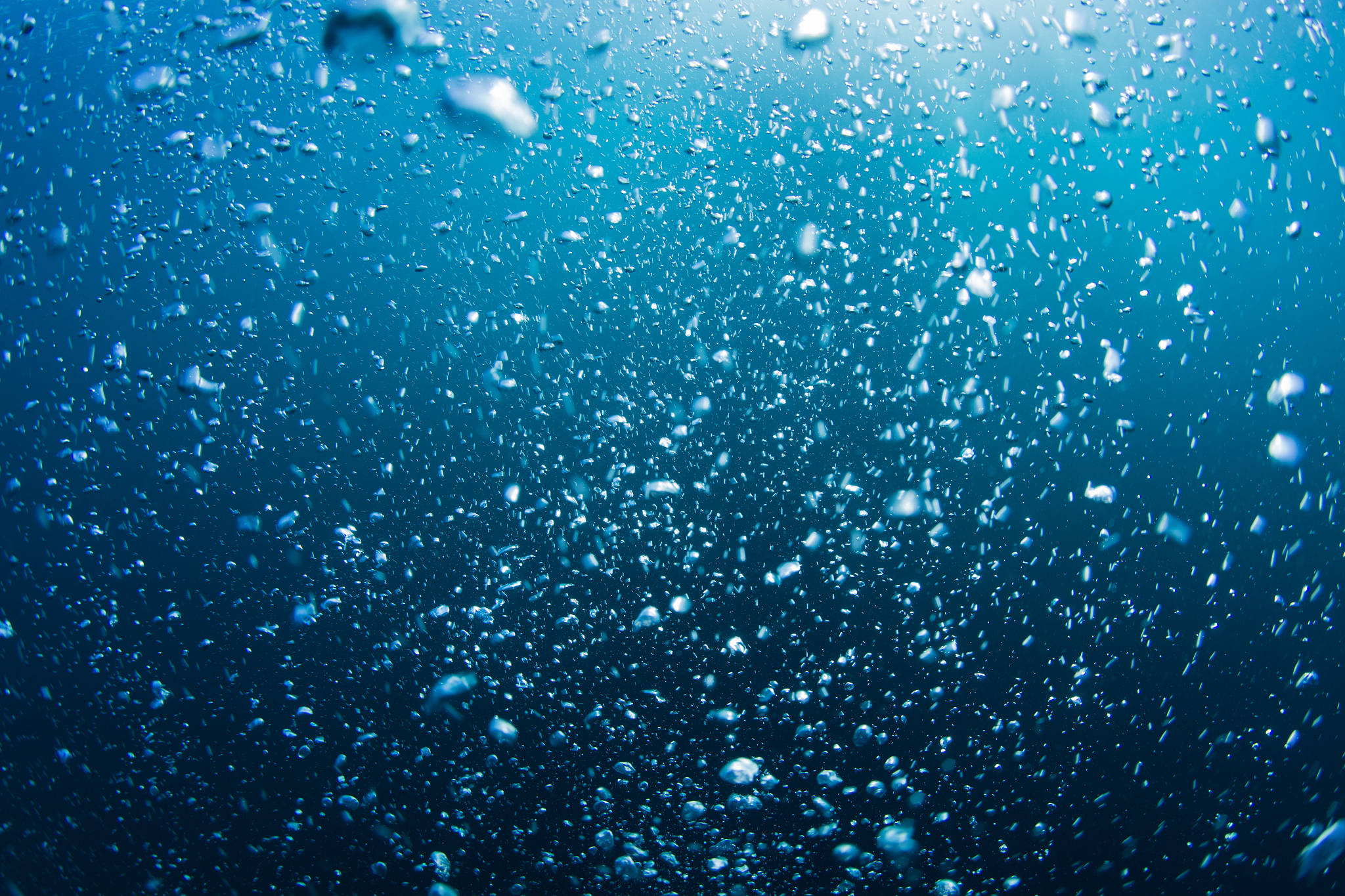 bubbles