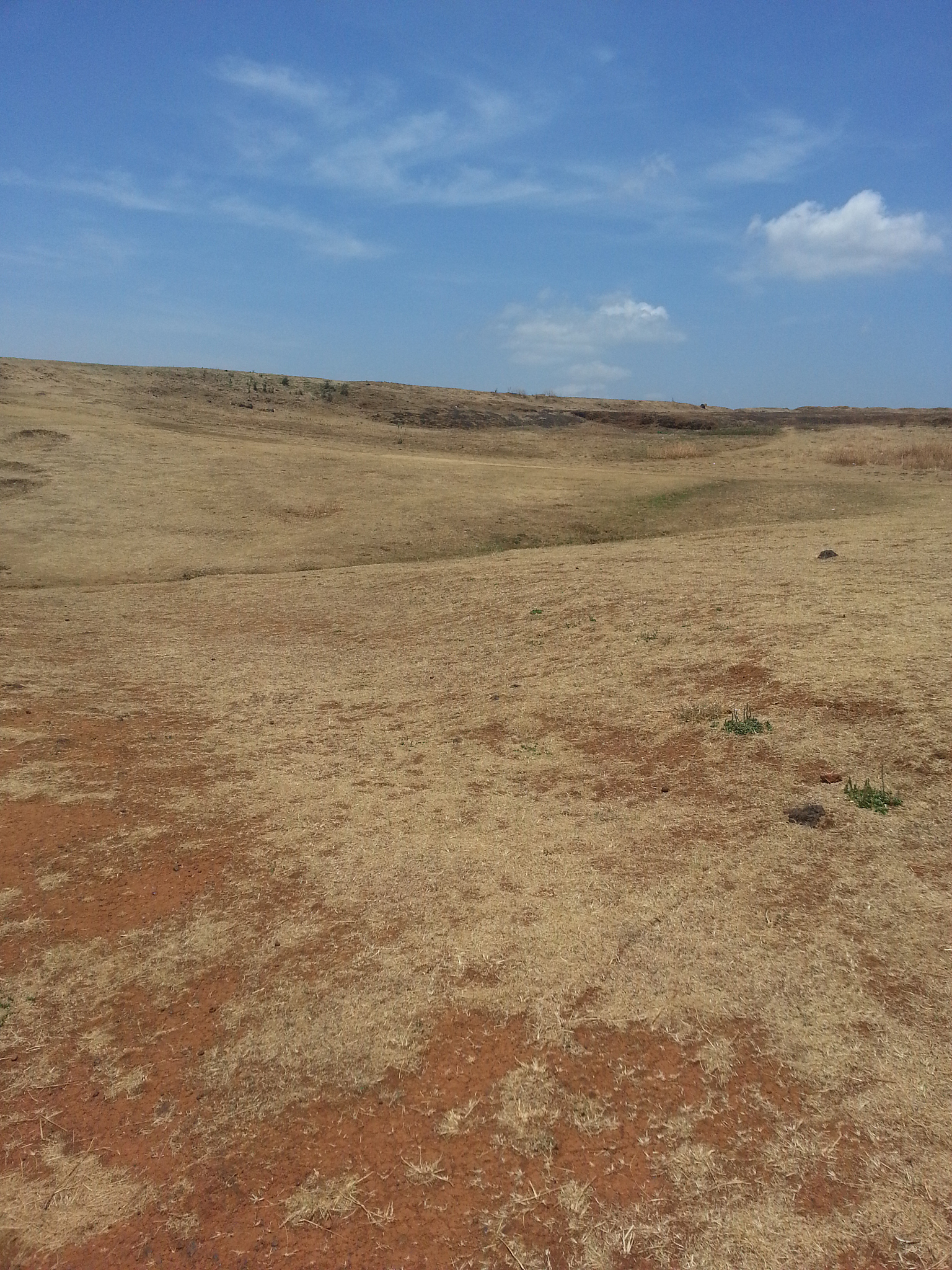 landscape against sky
