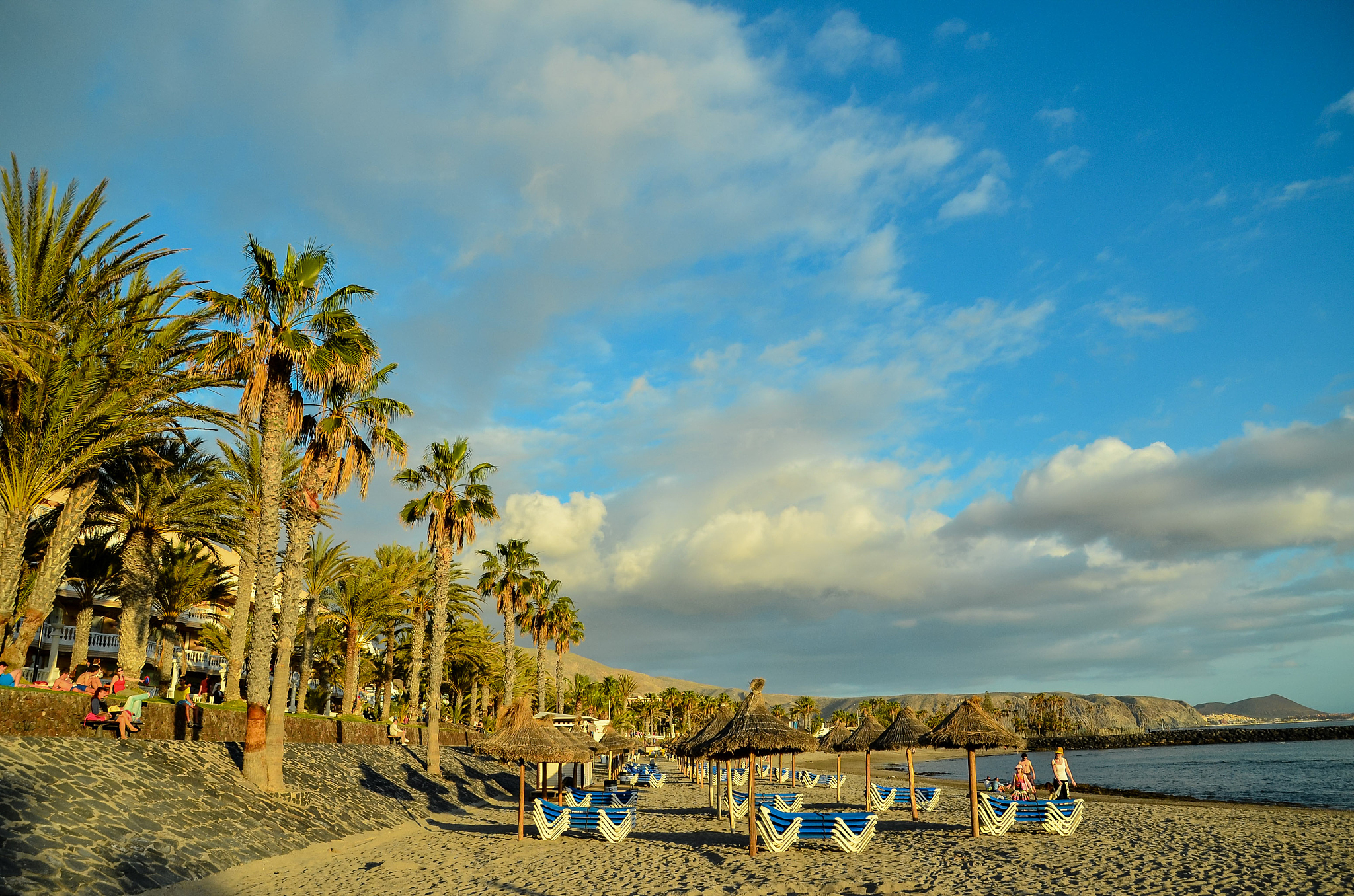 tropical beach