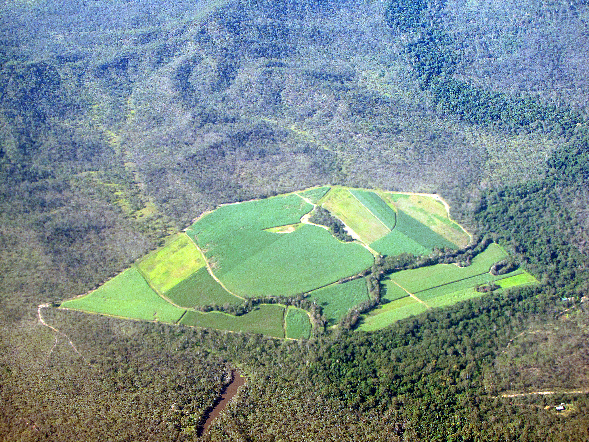 sugar canefields carved out of forest