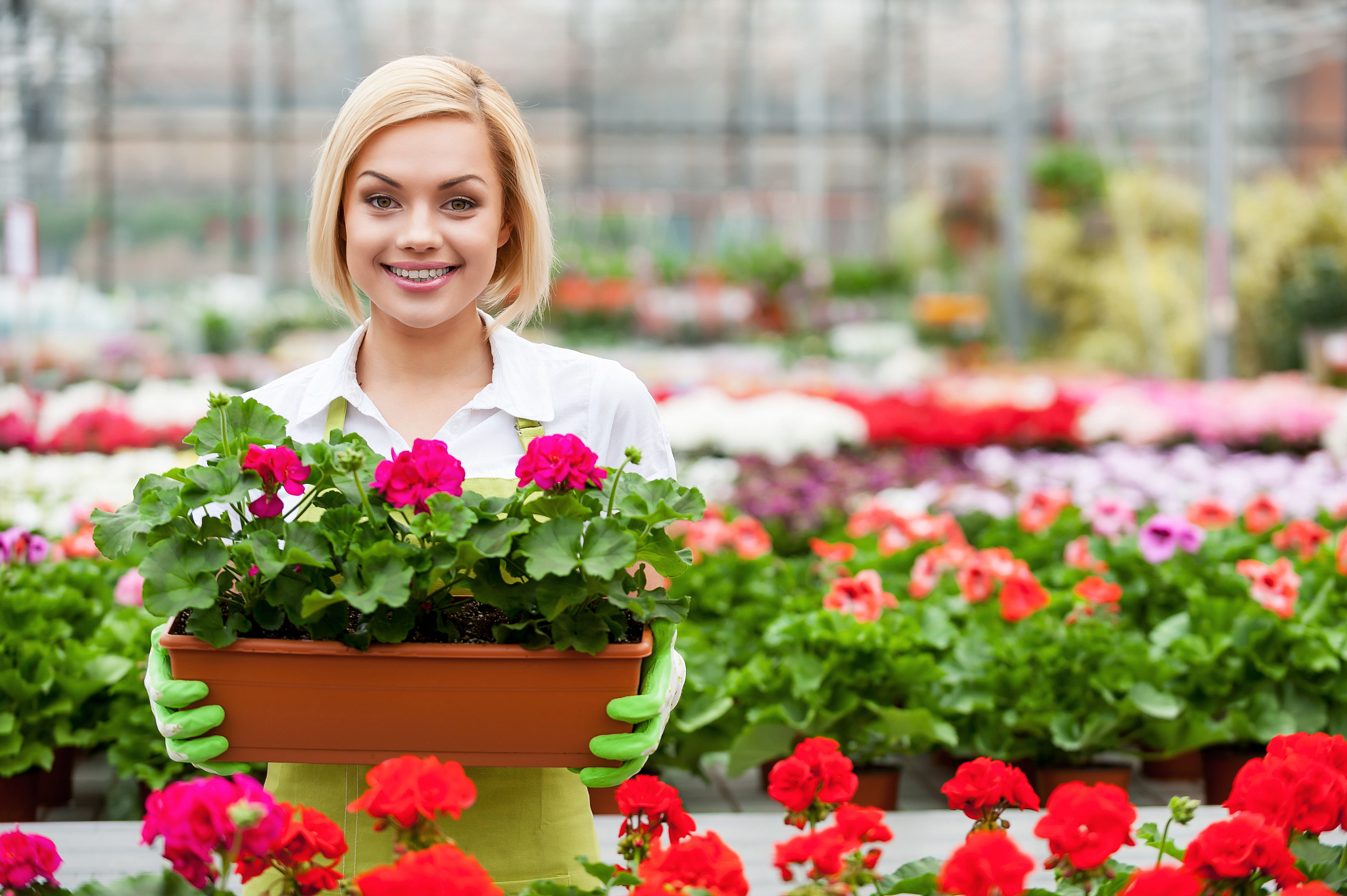 简单介绍楚雄农业学校畜牧兽医专业