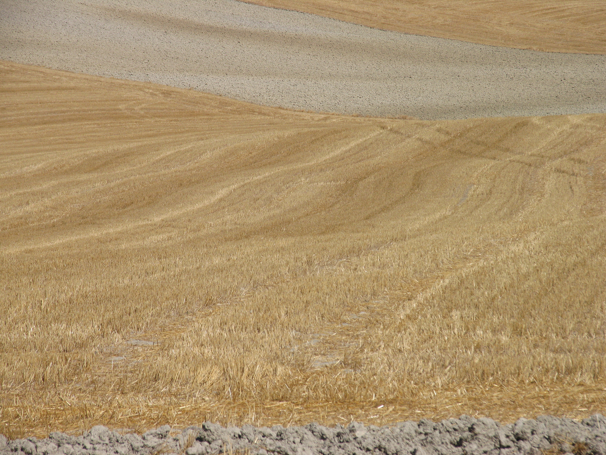 high angle view of grassy field