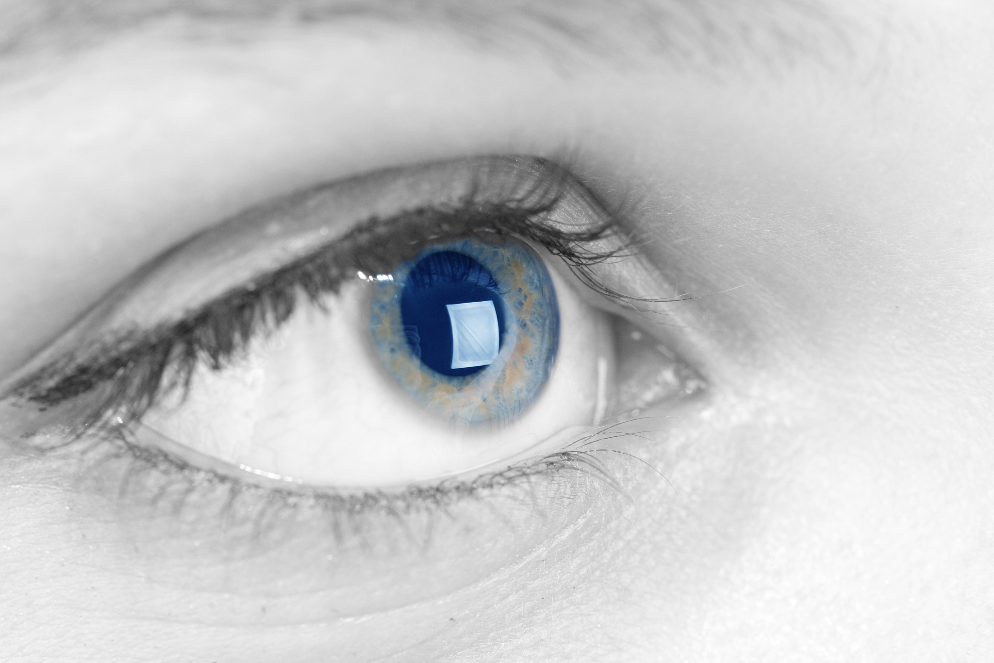eye