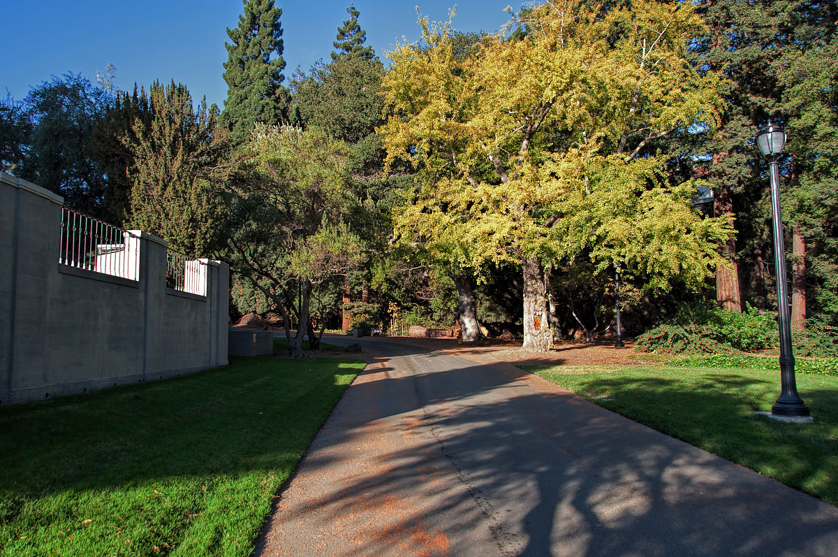 铁道交通运营管理专业哪个学校有？