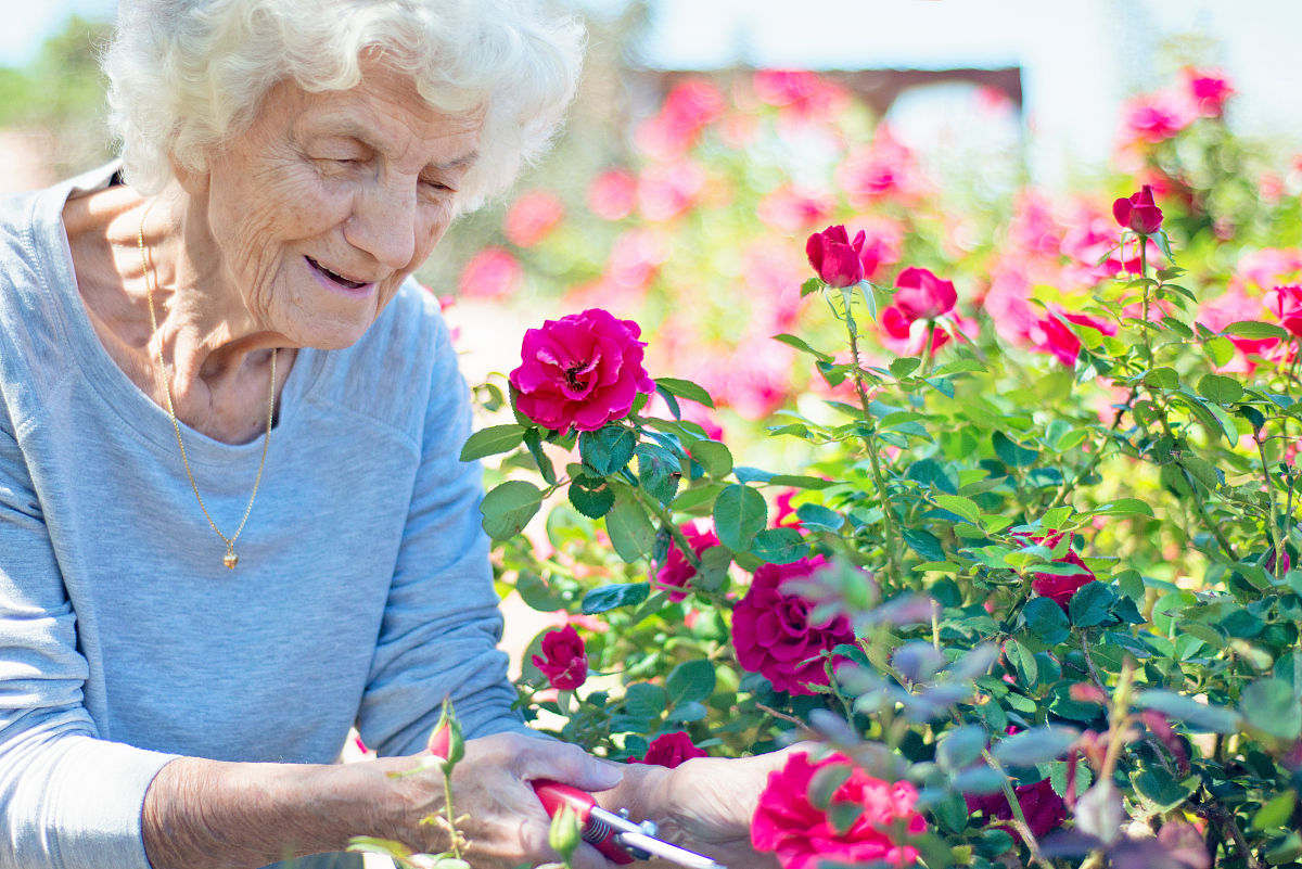 绍兴园艺学校2023年地址在哪里