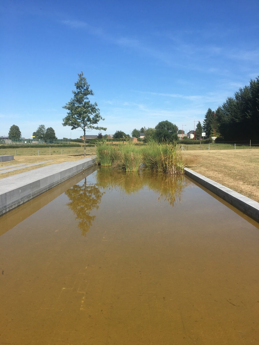 富营养化如何治理当前在线提问数过多请刷新重新访问每个Key每天只能使用300次!继续