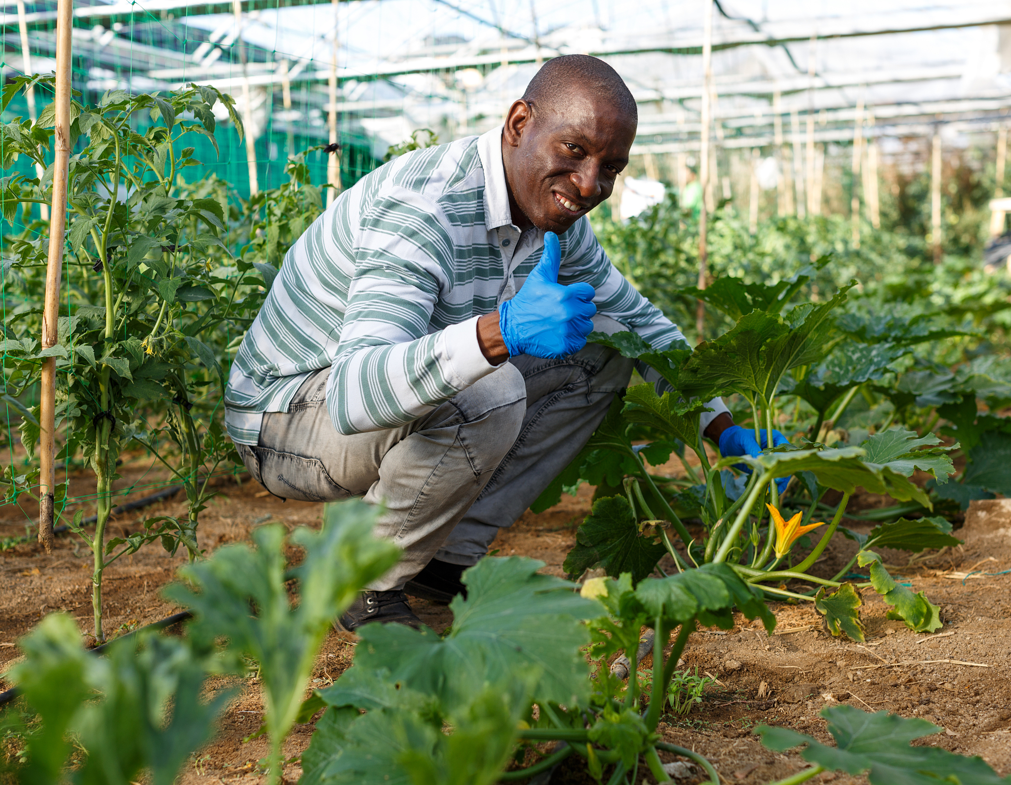 高唐县职业教育中心学校现代农艺技术专业怎么样？专业介绍