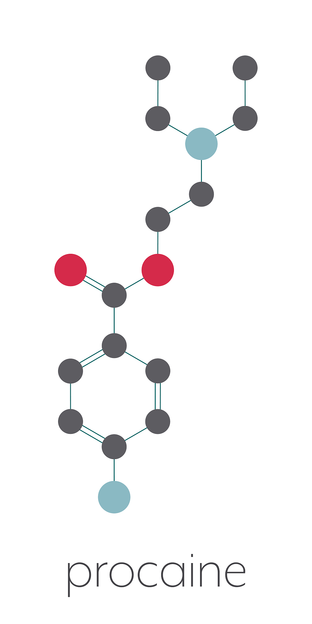 根据前序遍历和后序遍历，计算可能的二叉树数量