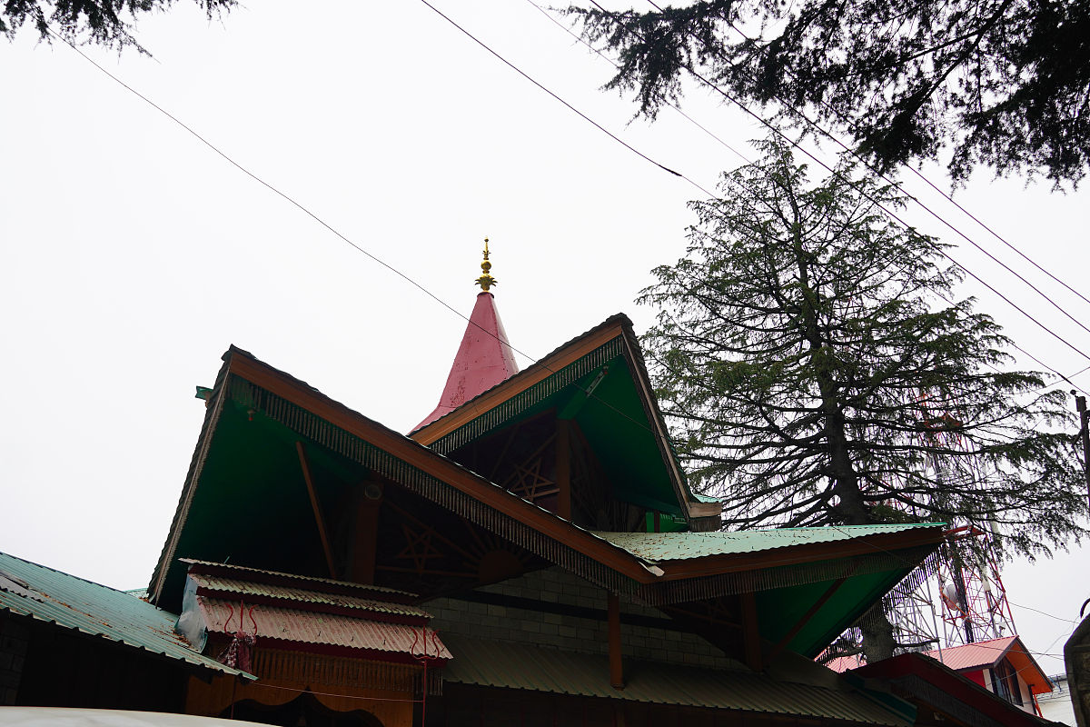 利用 KL 散度实现高分辨率图像特征监督低分辨率网络学习