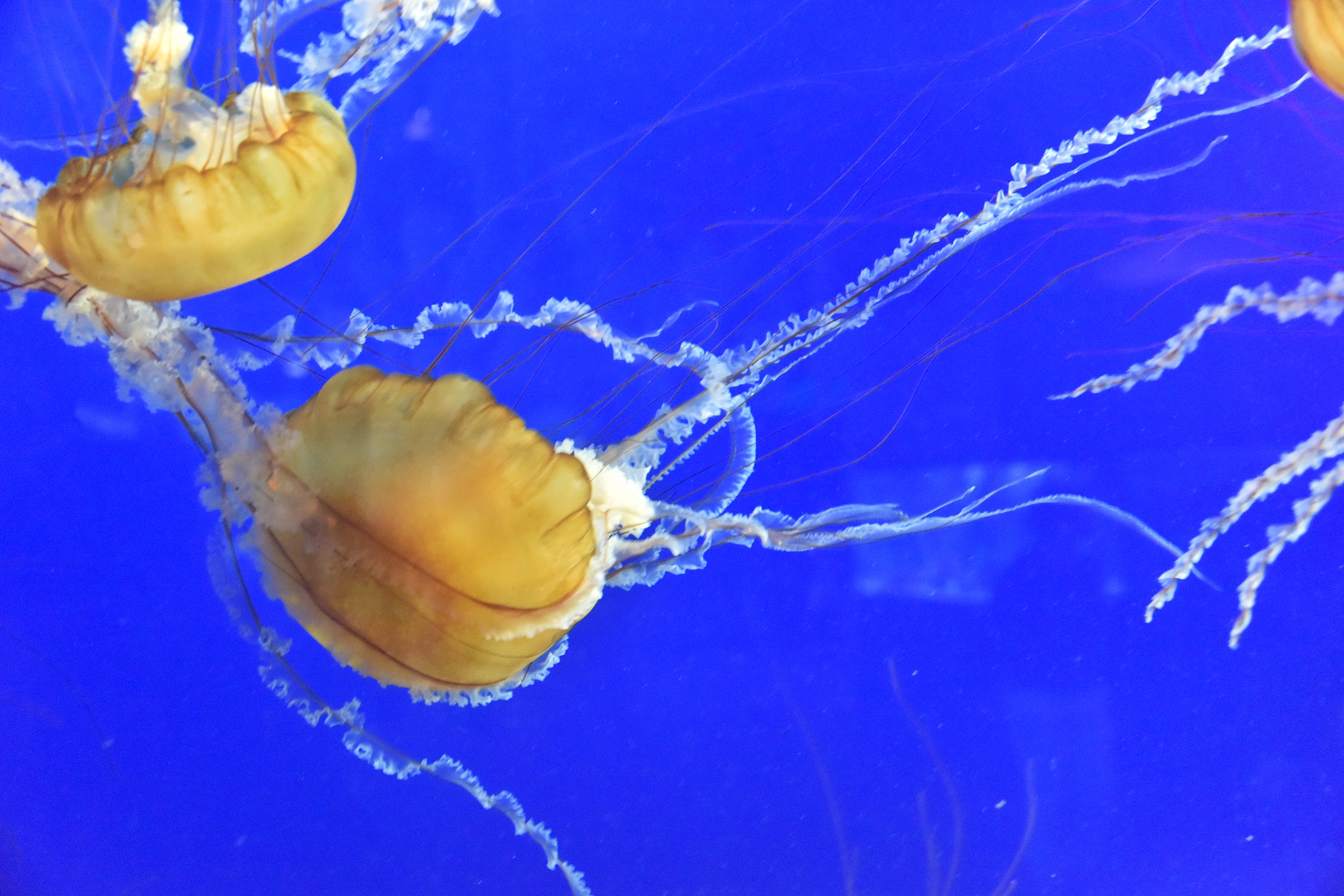 广东海洋工程职业技术学校具体地址在哪儿怎么样