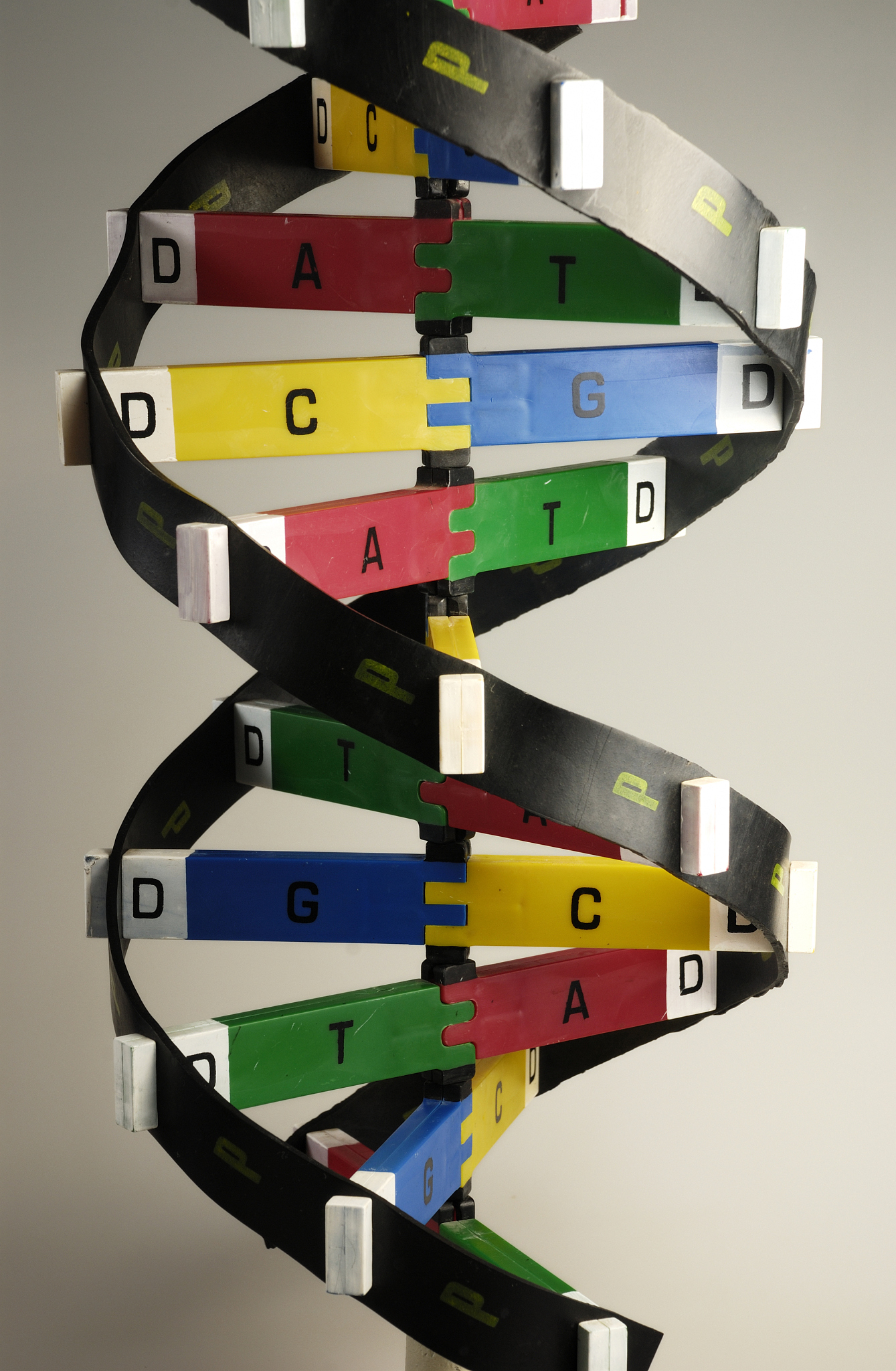 贵州贵阳中山科技学校有哪些专业,就业前景好吗？