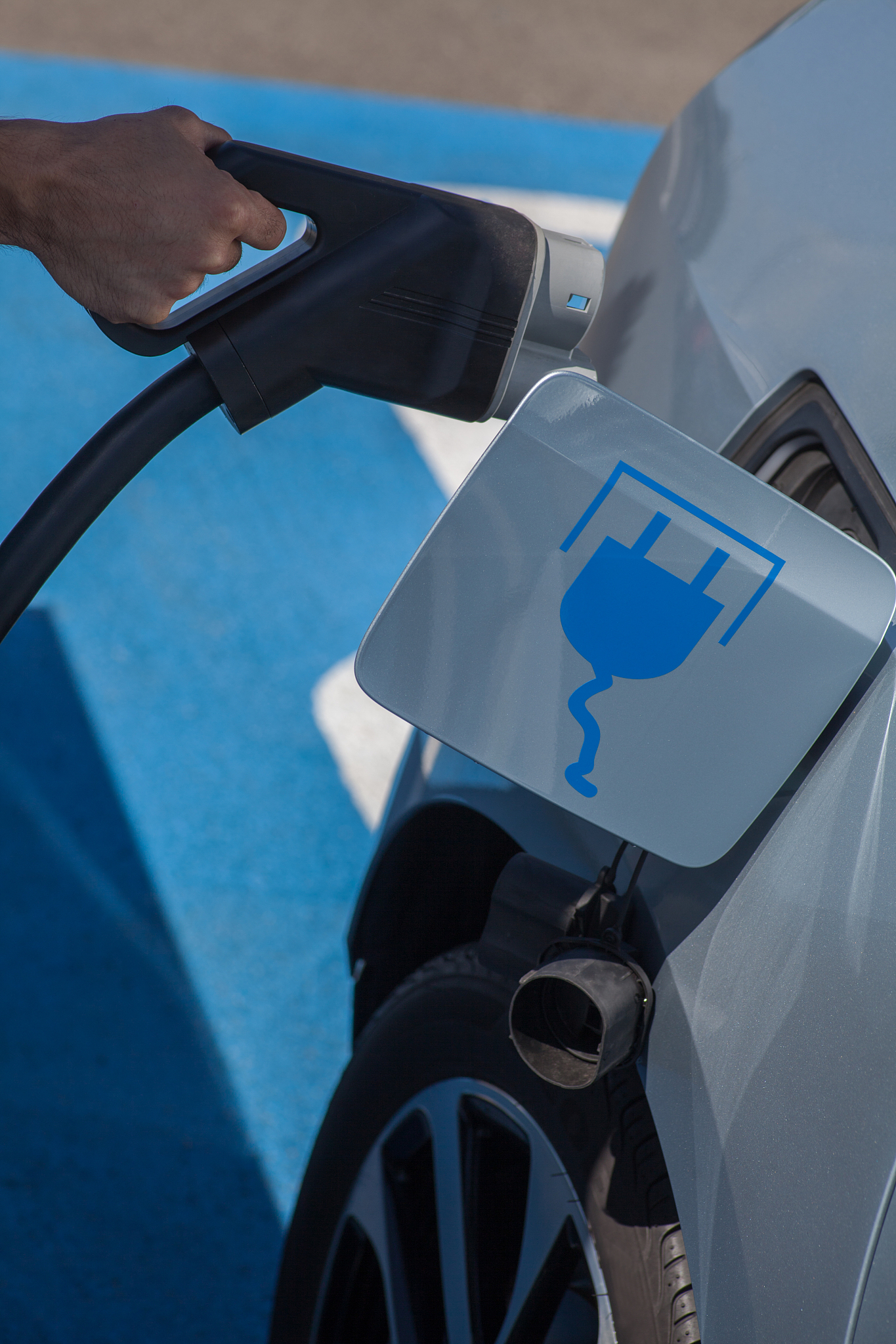 Securing Cargo with Lashing Bands and Tightening Devices