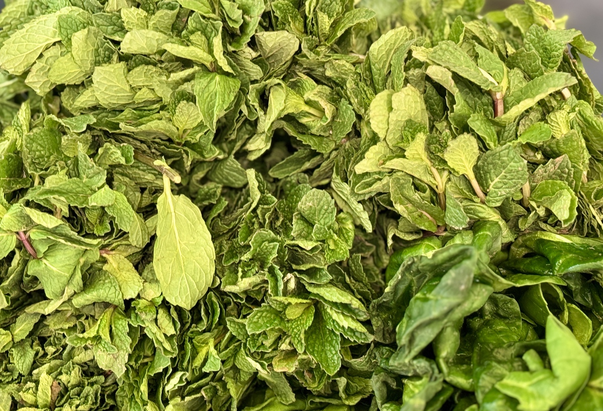 眉山药科职业学院中草药栽培技术专业介绍