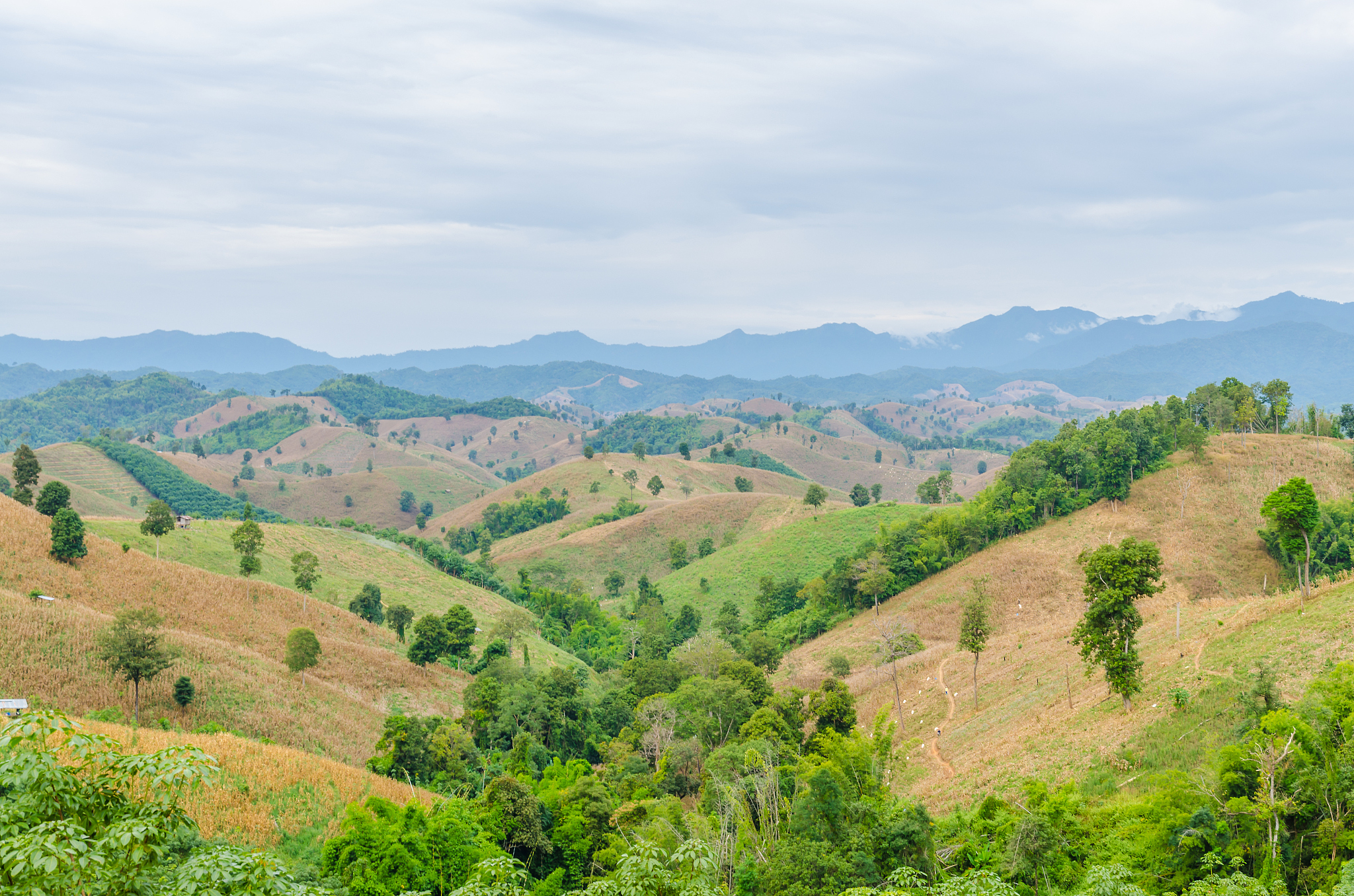 mountain landscape