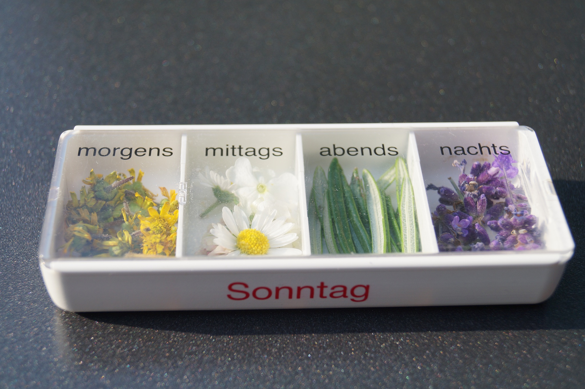 alternative medizin mit heilkrutern aus der natur