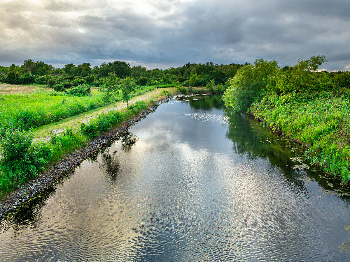 扩写：构建水资源净化再利用系统综合配置陆生湿生植栽修复场地生物多样性构建食物链以稳定生态系统以活力水源串联城市栏里空间以滨河绿地缝合城市生态廊道