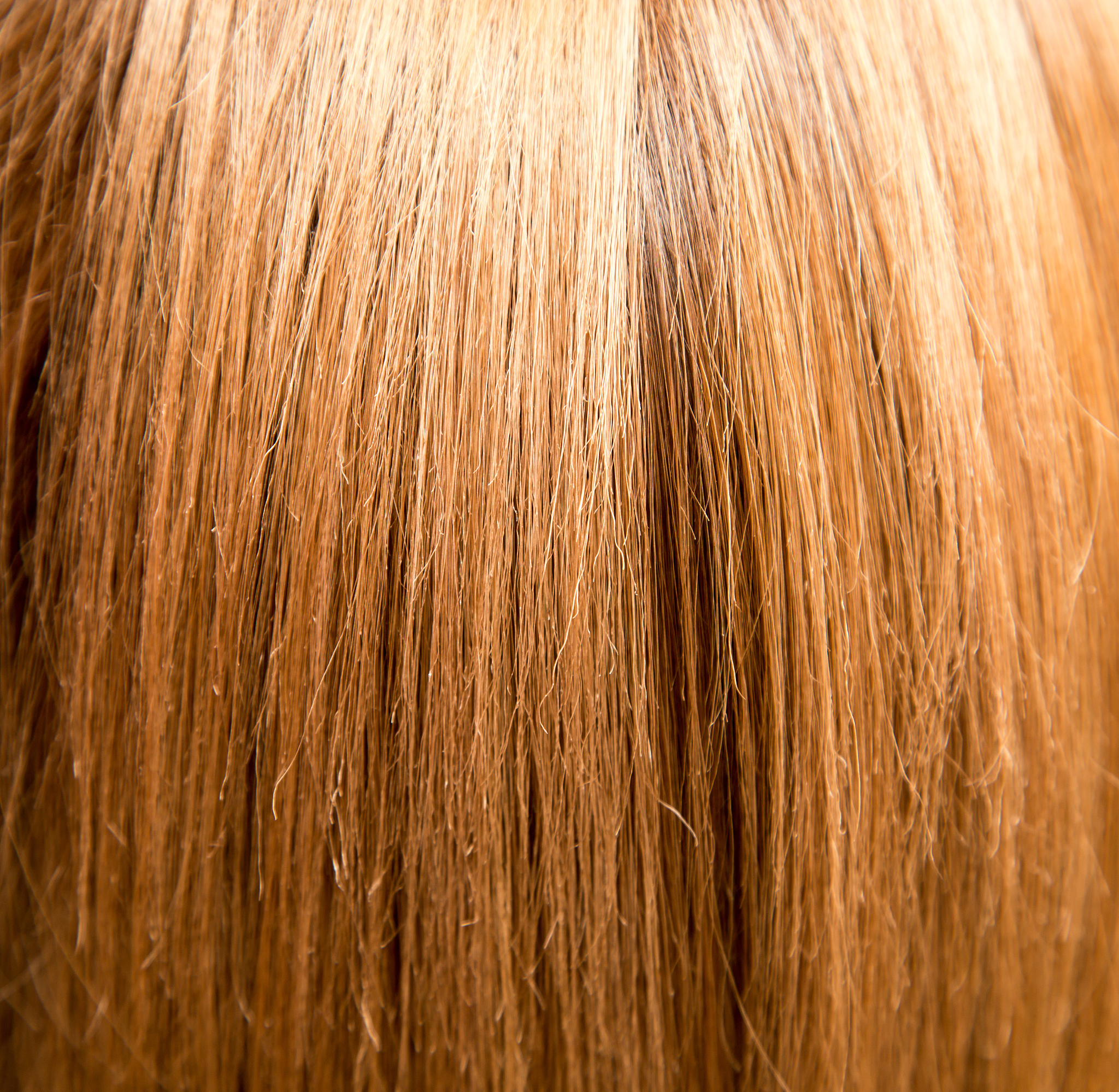 21岁女生一个月内快速恢复白发？科学家教你一招自然变黑！