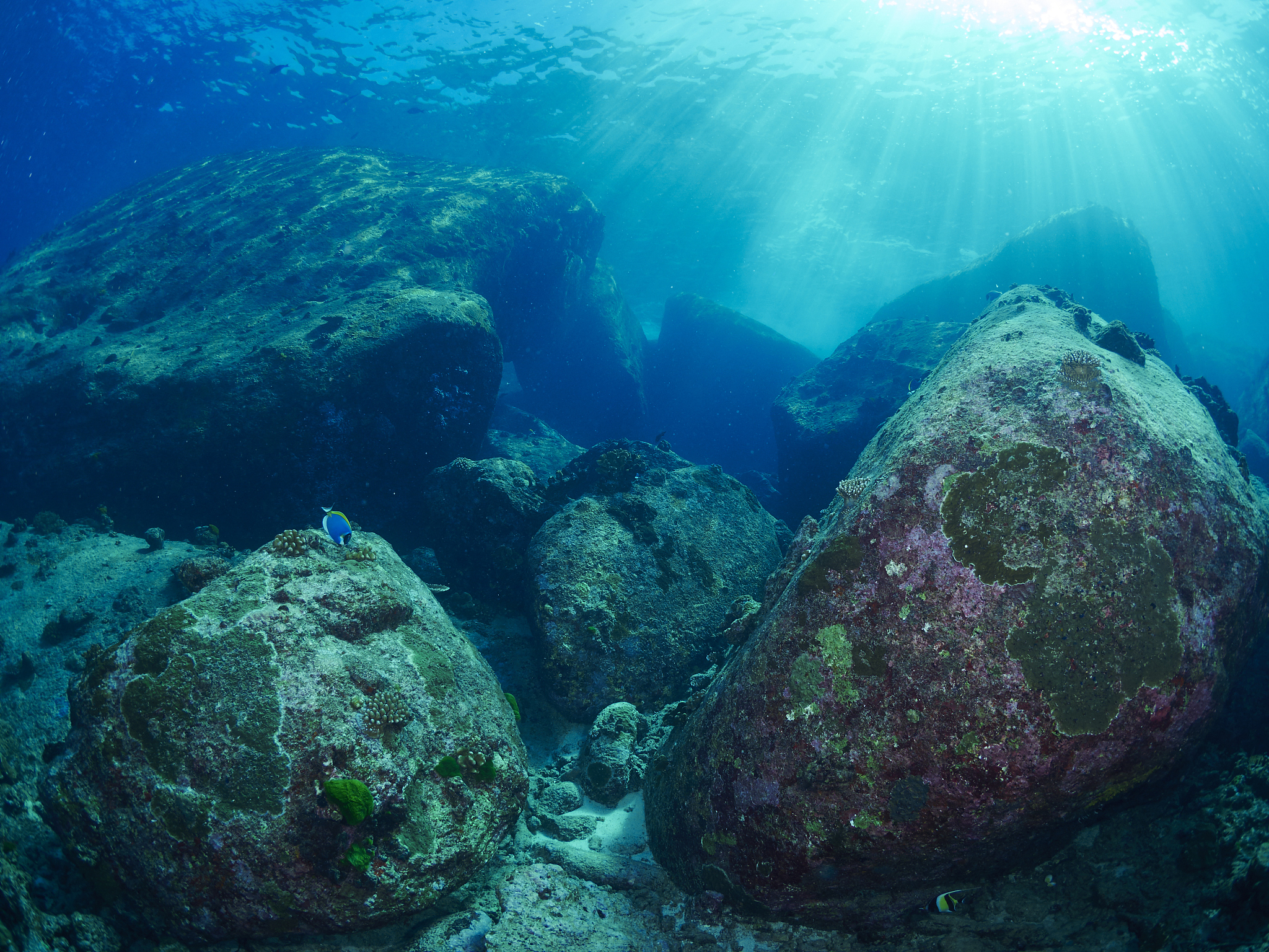 自然保护区：生命的宝库，人类的希望
