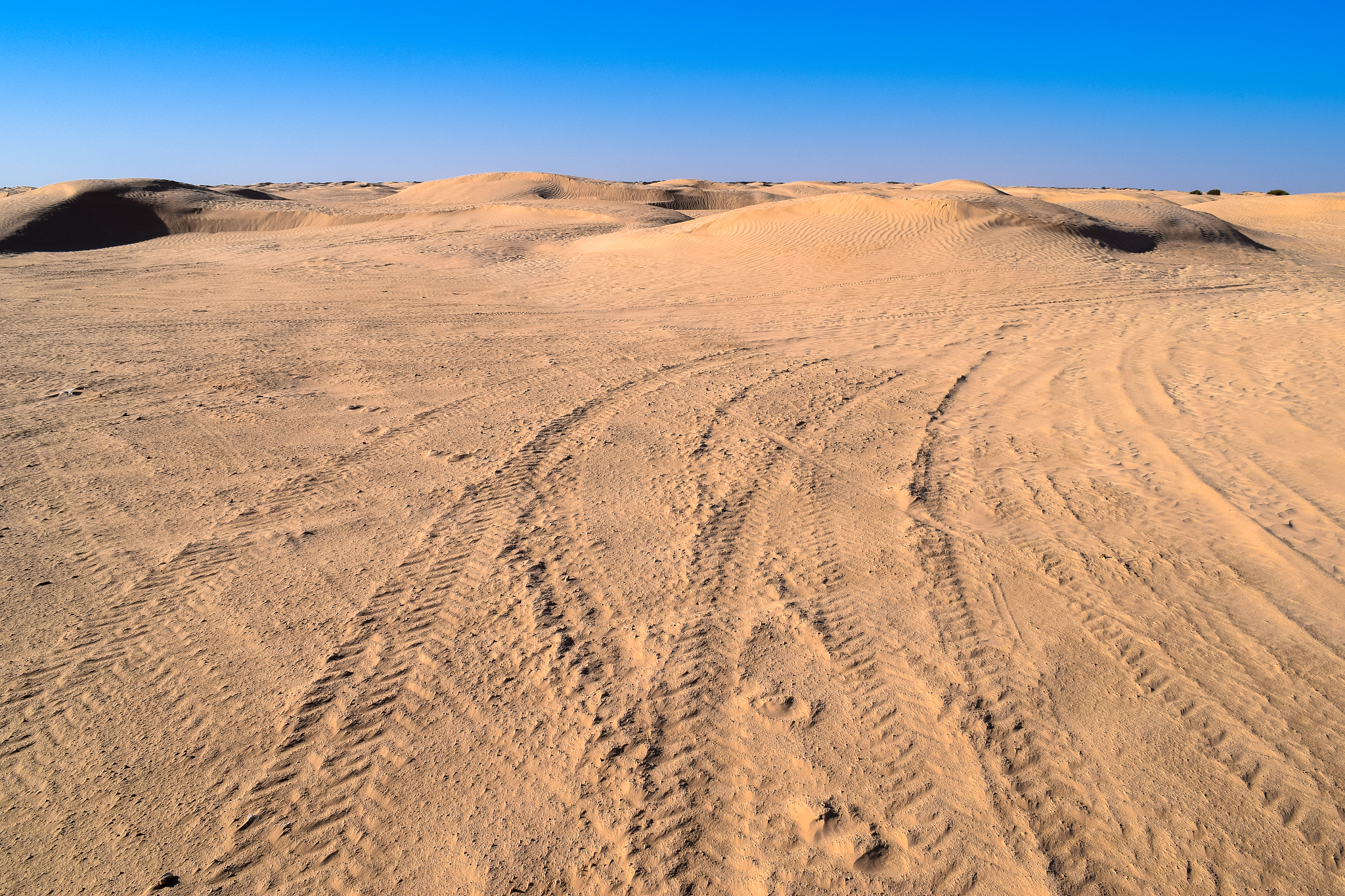 sahara desert golden sands and barchans. the greatest desert