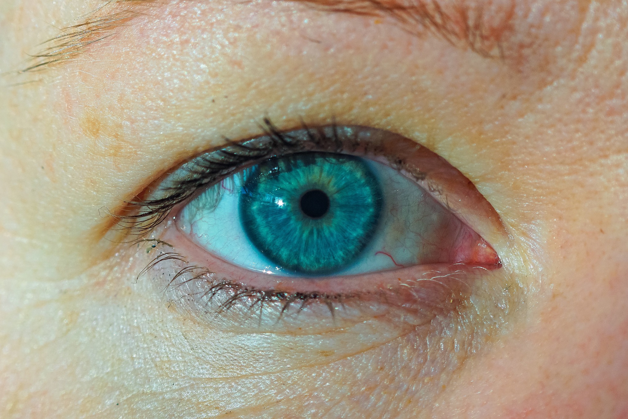 human eye macro closeup