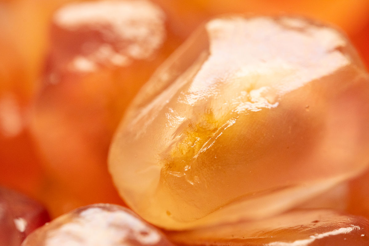 小学生升旗仪式主持词：石榴籽，心连心，共筑家国梦