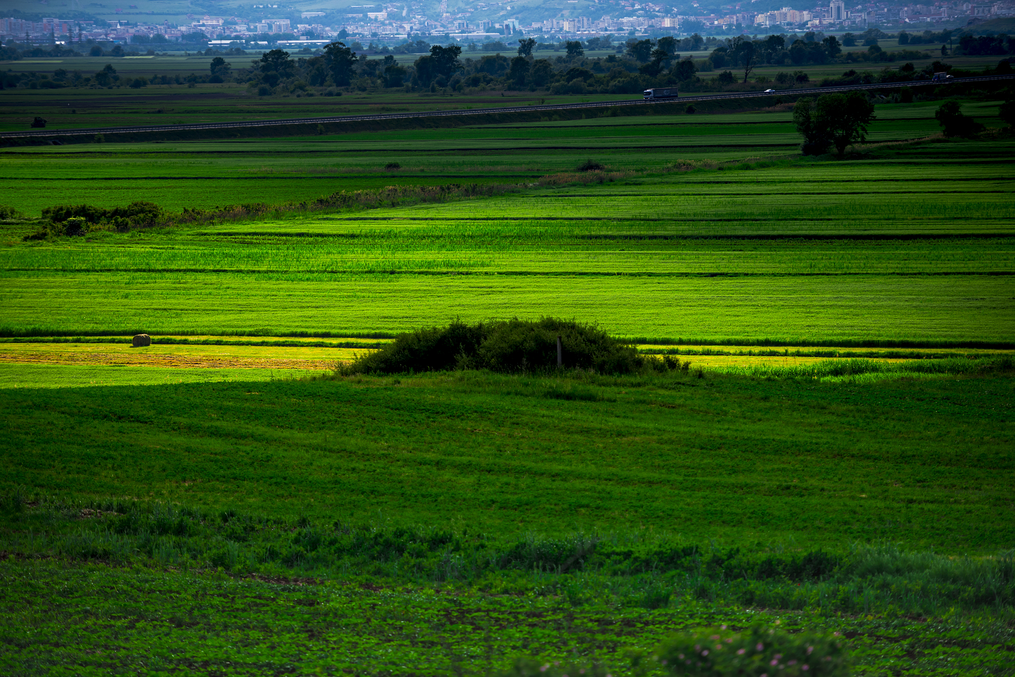 springtime view