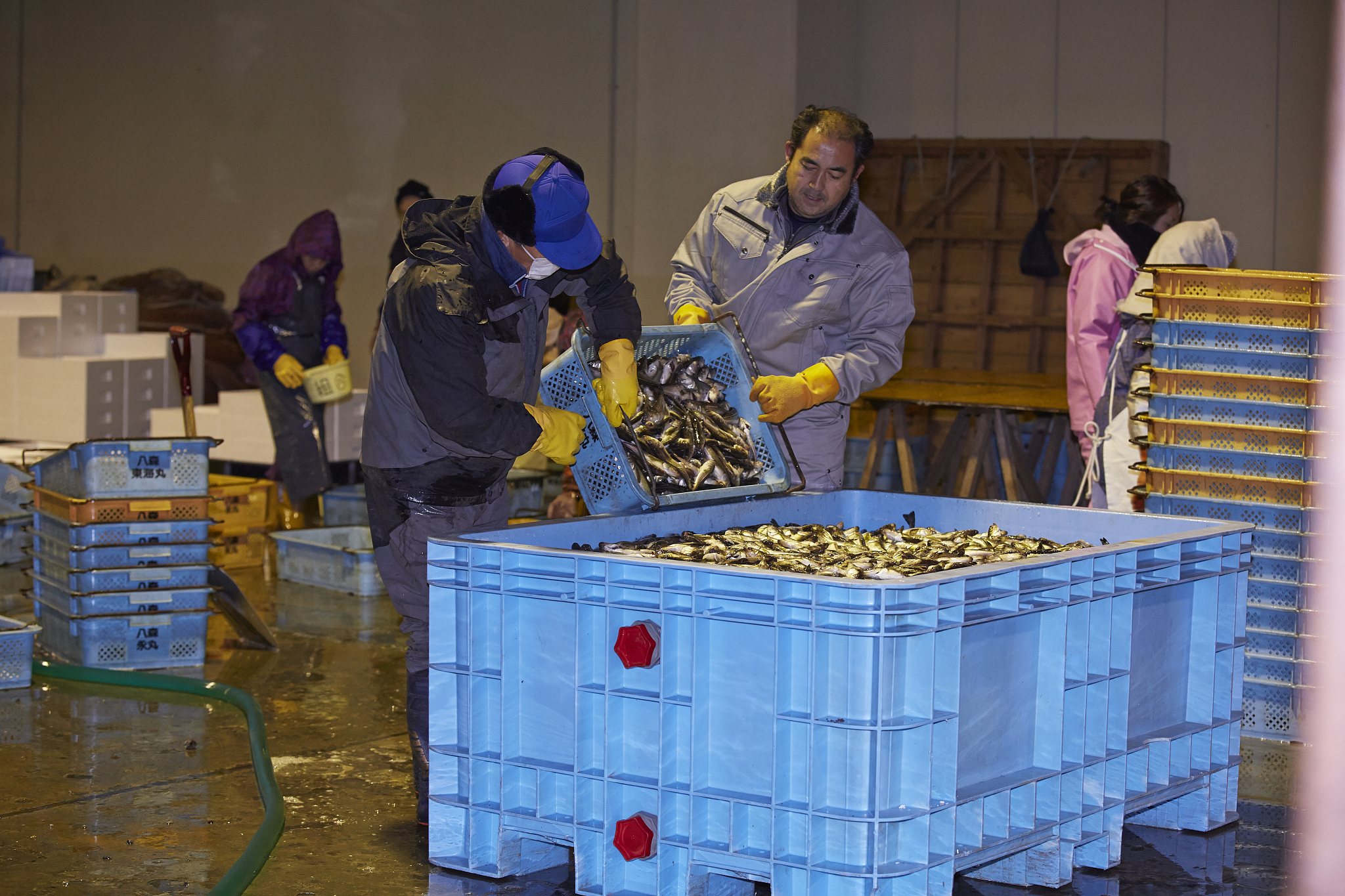 FISHERIES SCIENCE 期刊：涵盖渔业科学各个领域的研究
