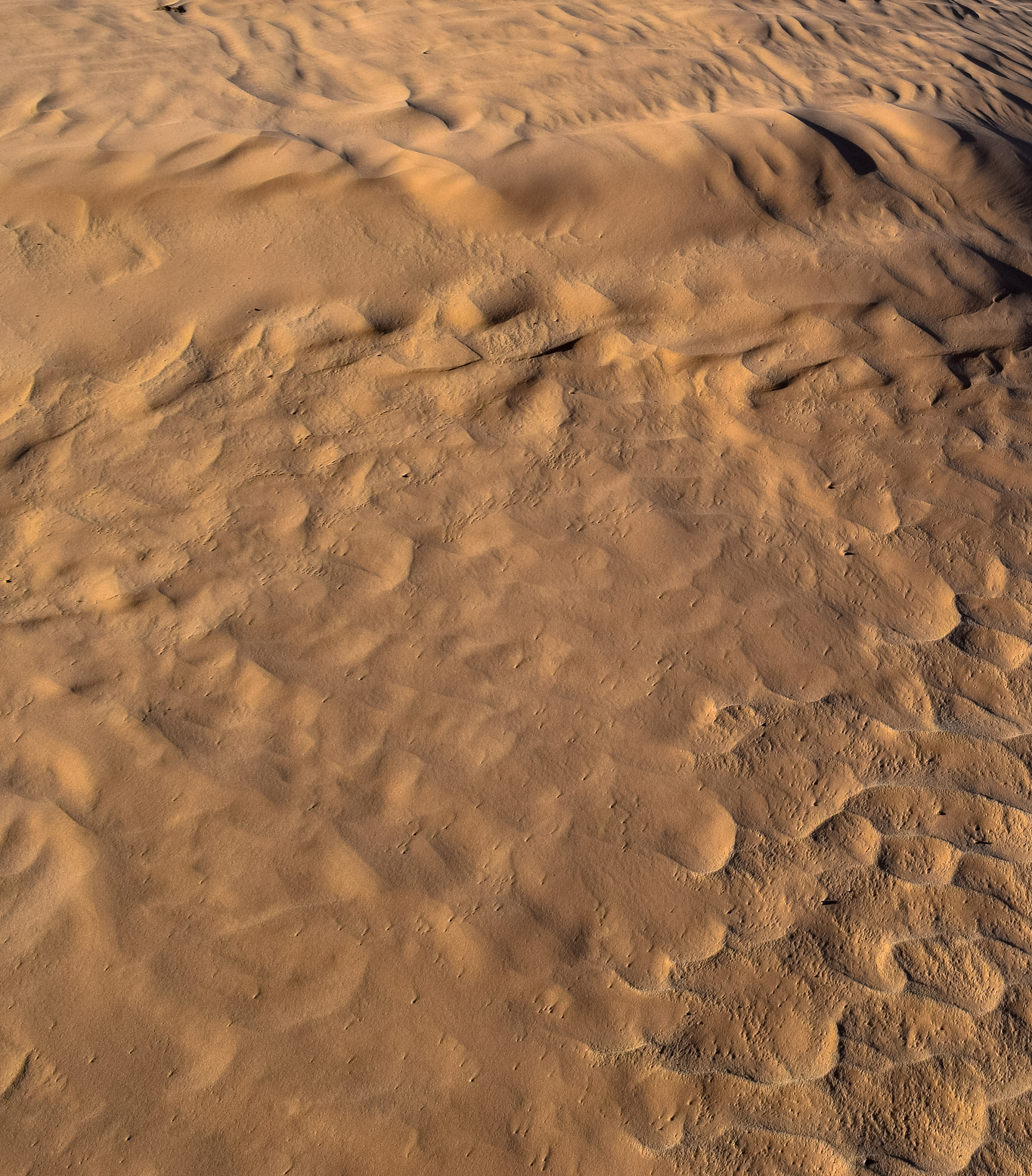 gold color desert and golden sands of sahara. texture, wallpaper