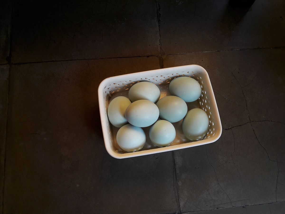 咸鸭蛋腌太咸了有办法补救吗