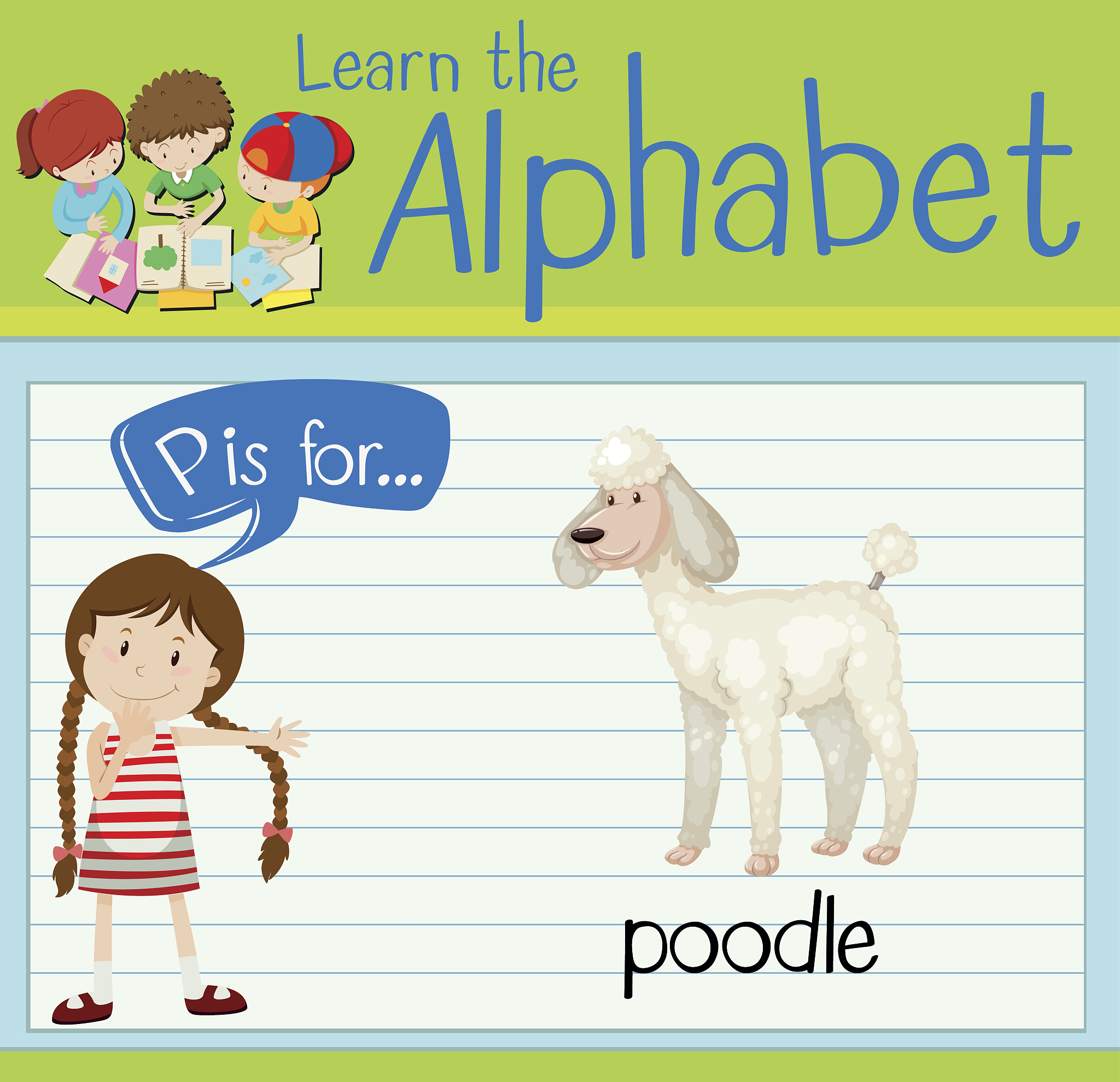 flashcard letter p is for poodle