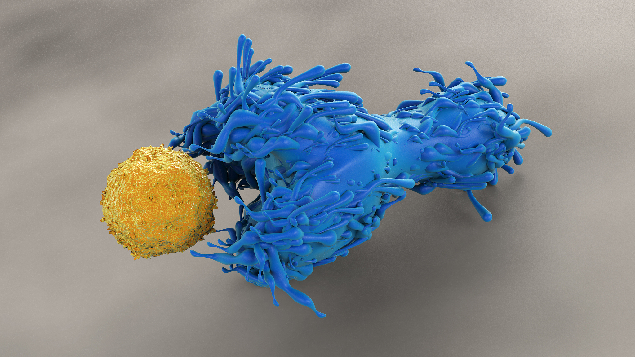 系统性红斑狼疮 (SLE) 中的辅助 T 细胞：数量变化及影响