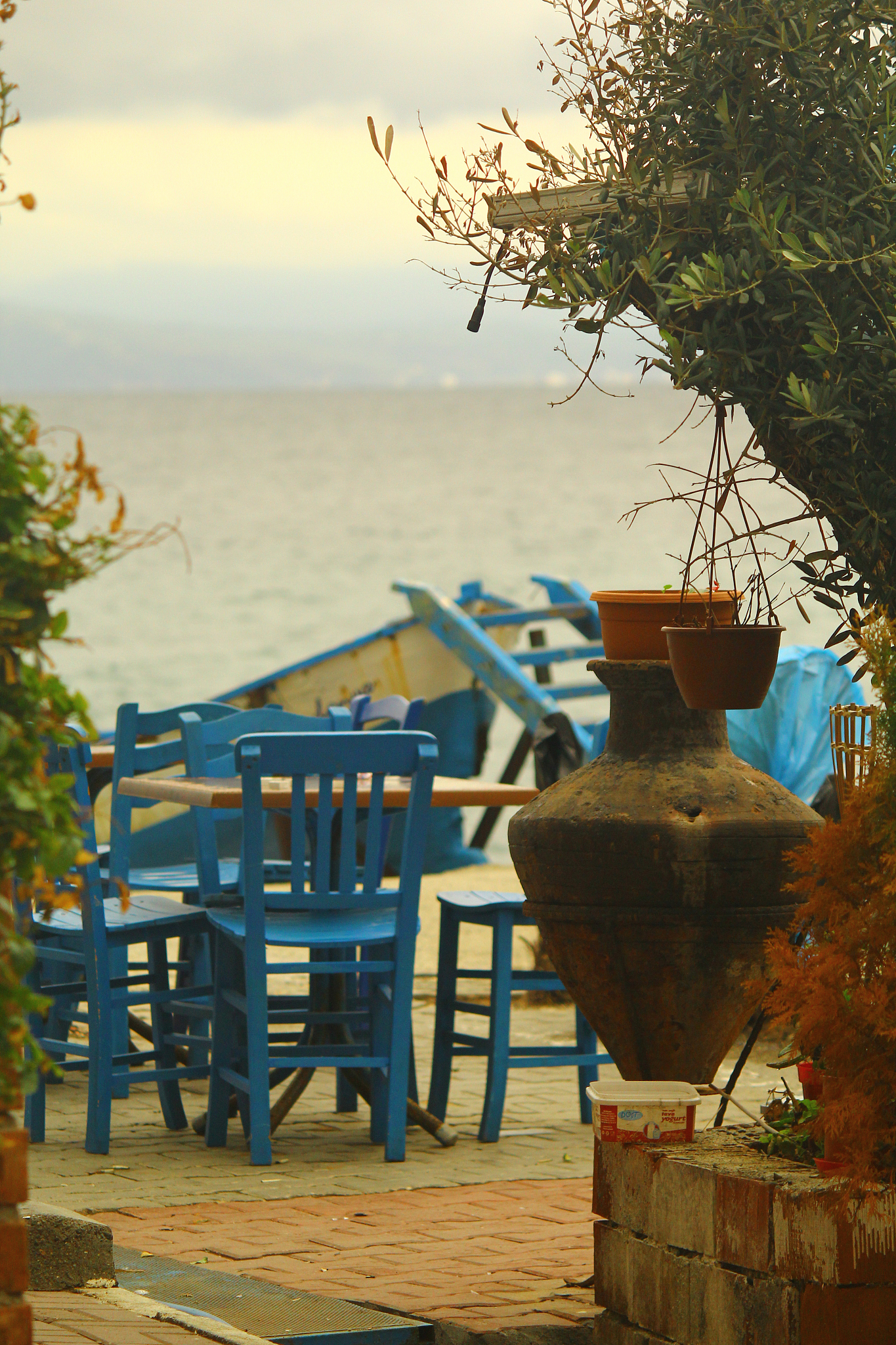 懒人避世是什么意思_词语懒人避世的意思