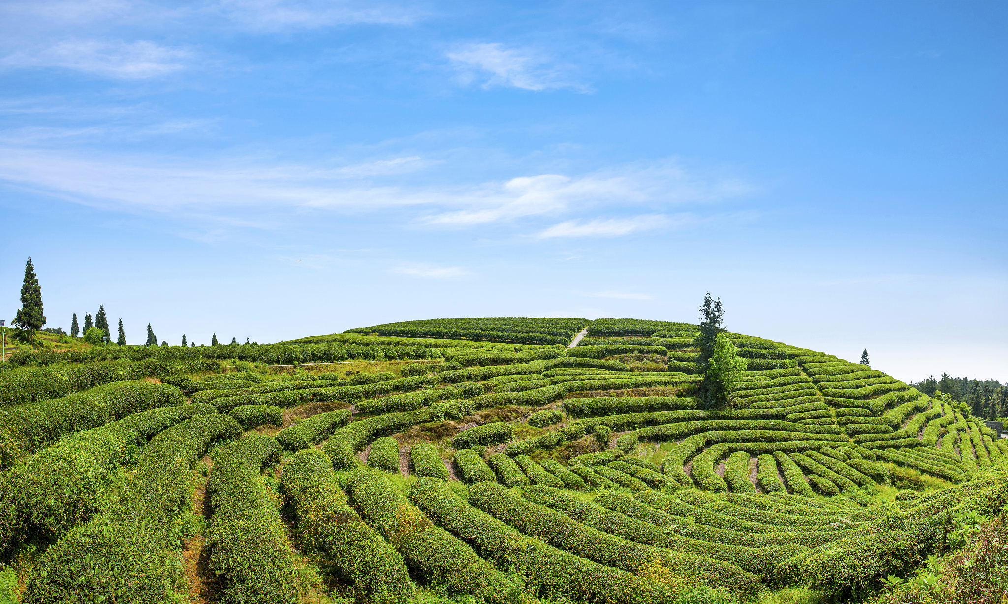 重庆包就业的职业学校哪家好用