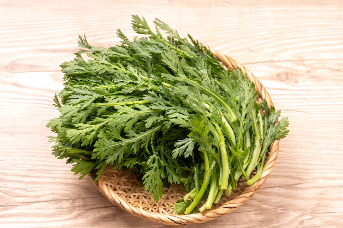 蒿芛怎么炒才好吃？教你做出美味家常菜！