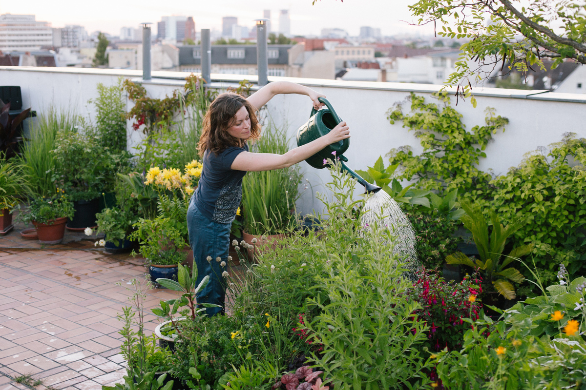 May Seed Sowing Guide: Best Vegetables & Flowers for a Bountiful Summer Garden