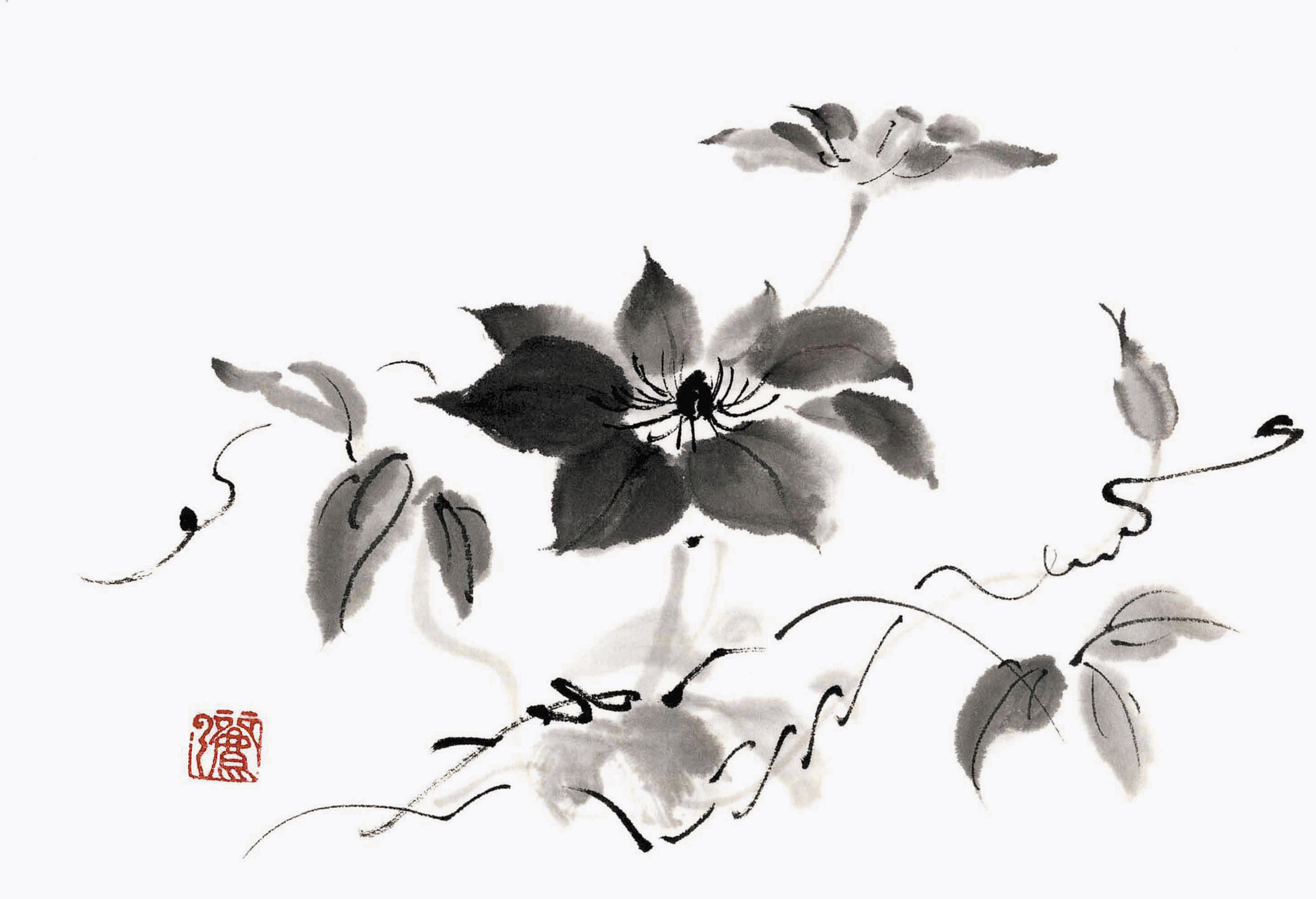 分析一下何月雯
