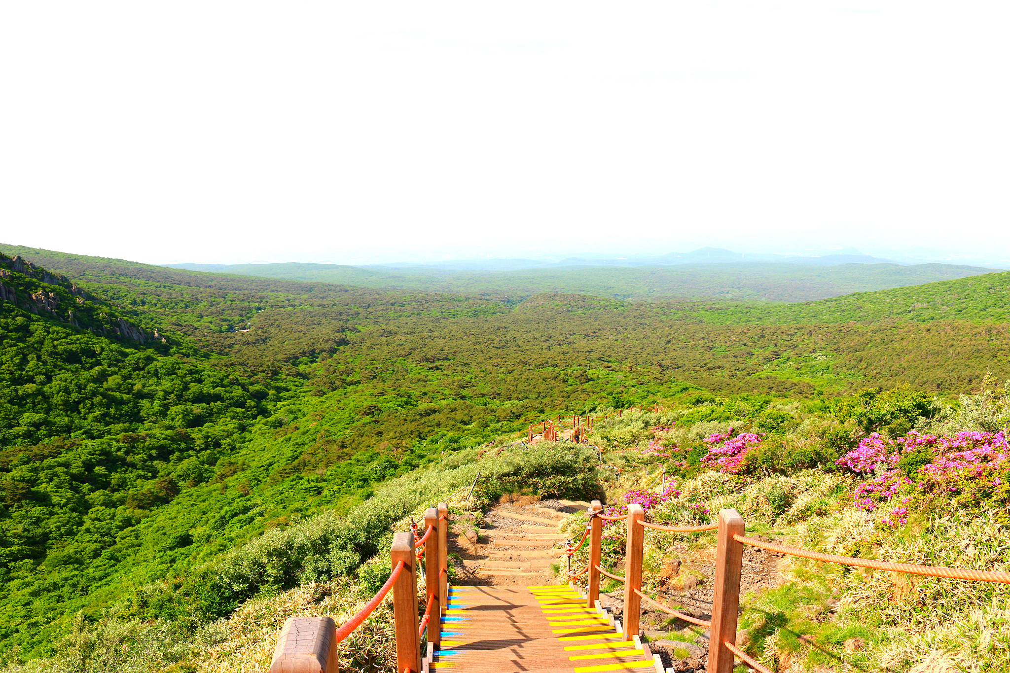 hallasan, mountain, mountain, mountain, forest, mountain, forest