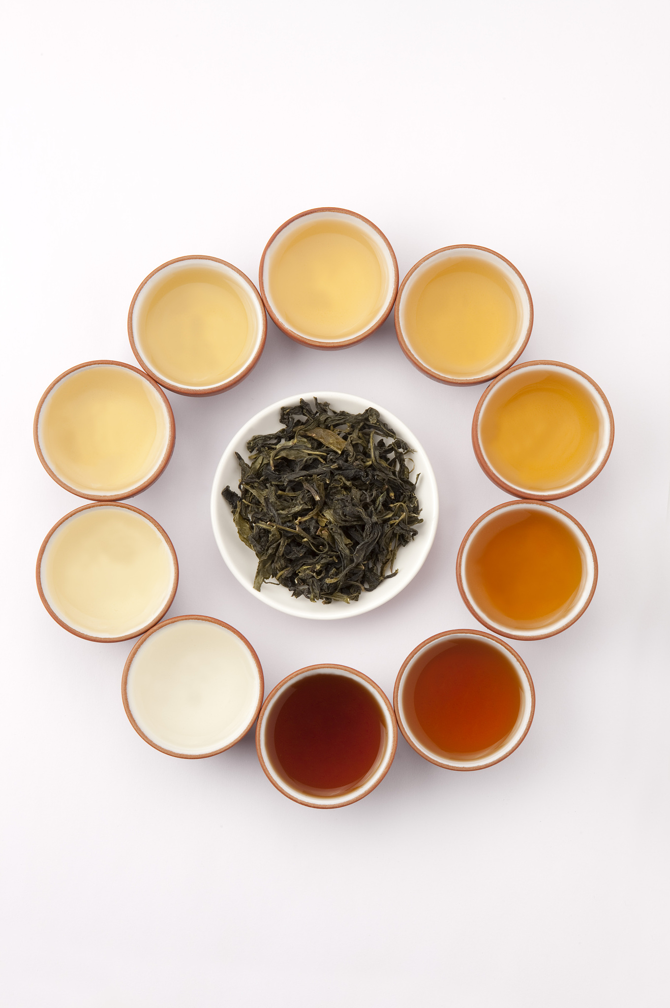 乌龙茶有哪些品种200字左右详细描述一下