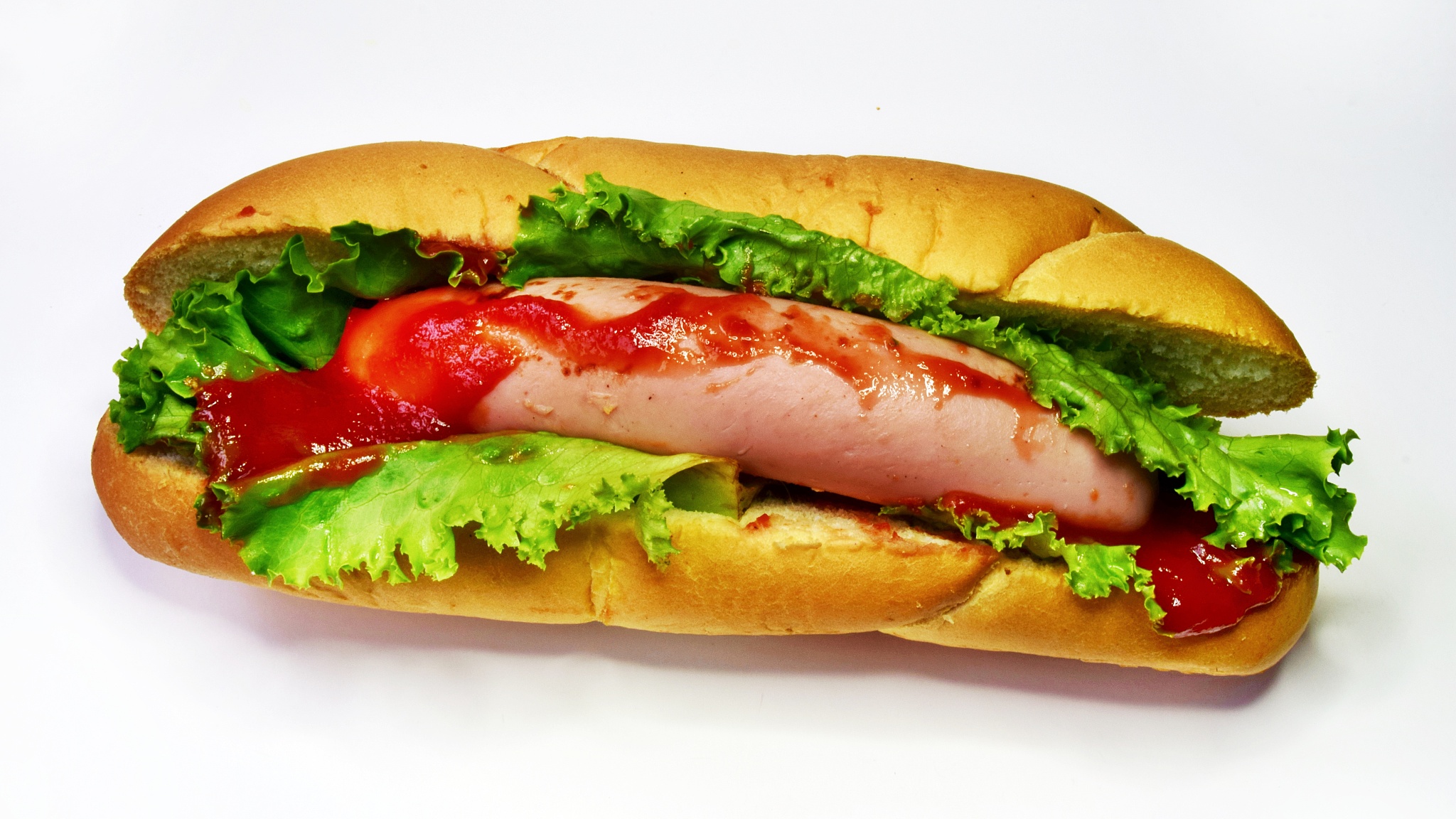 one move-dog on a light background. concept of junk food, close-