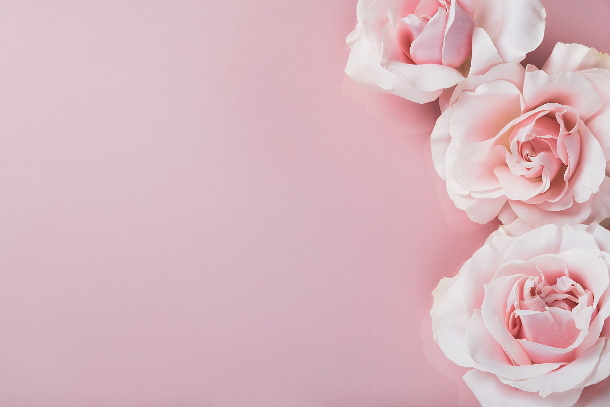 春天的美好：活力、希望与新开始