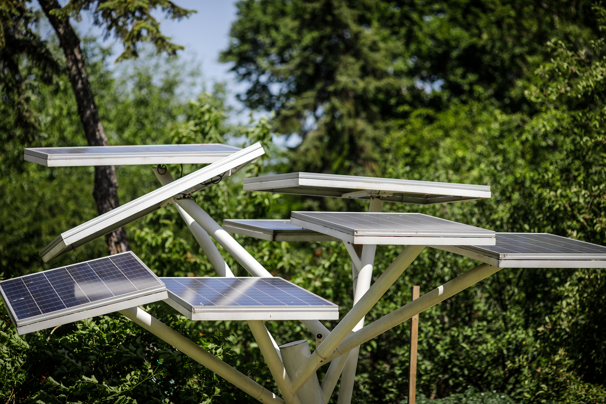 我需要根据汇报材料的素材写一篇关于新技术、新产品市场需求情况的汇报材料主要分为两个板块一、产品、业务发展方向；二、新产品、新技术市场需求情况。以下是汇报材料的素材一、产品、业务发展方向能源是国民经济稳定发展与民生社会长治久安的重要物质基础建设清洁低碳、安全高效的现代能源体系是我国能源体系建设的未来方向。习近平总书记在气候雄心峰会上提出到2030年我国非化石能源占一次能源消费比重将达到25左右风电、