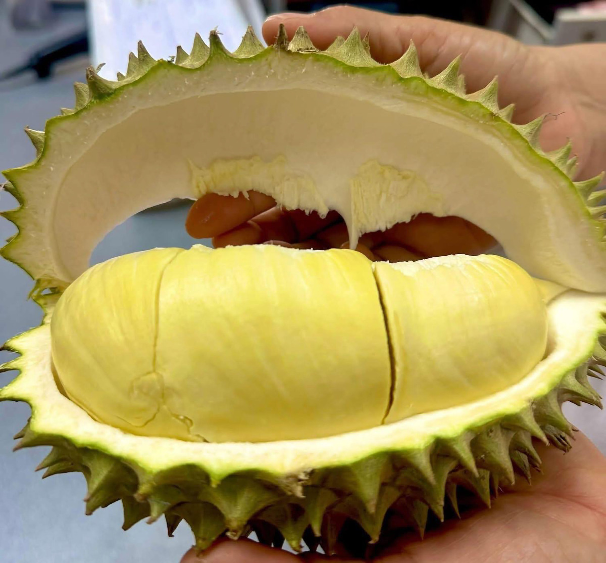 泰国榴莲出口量：2021年数据