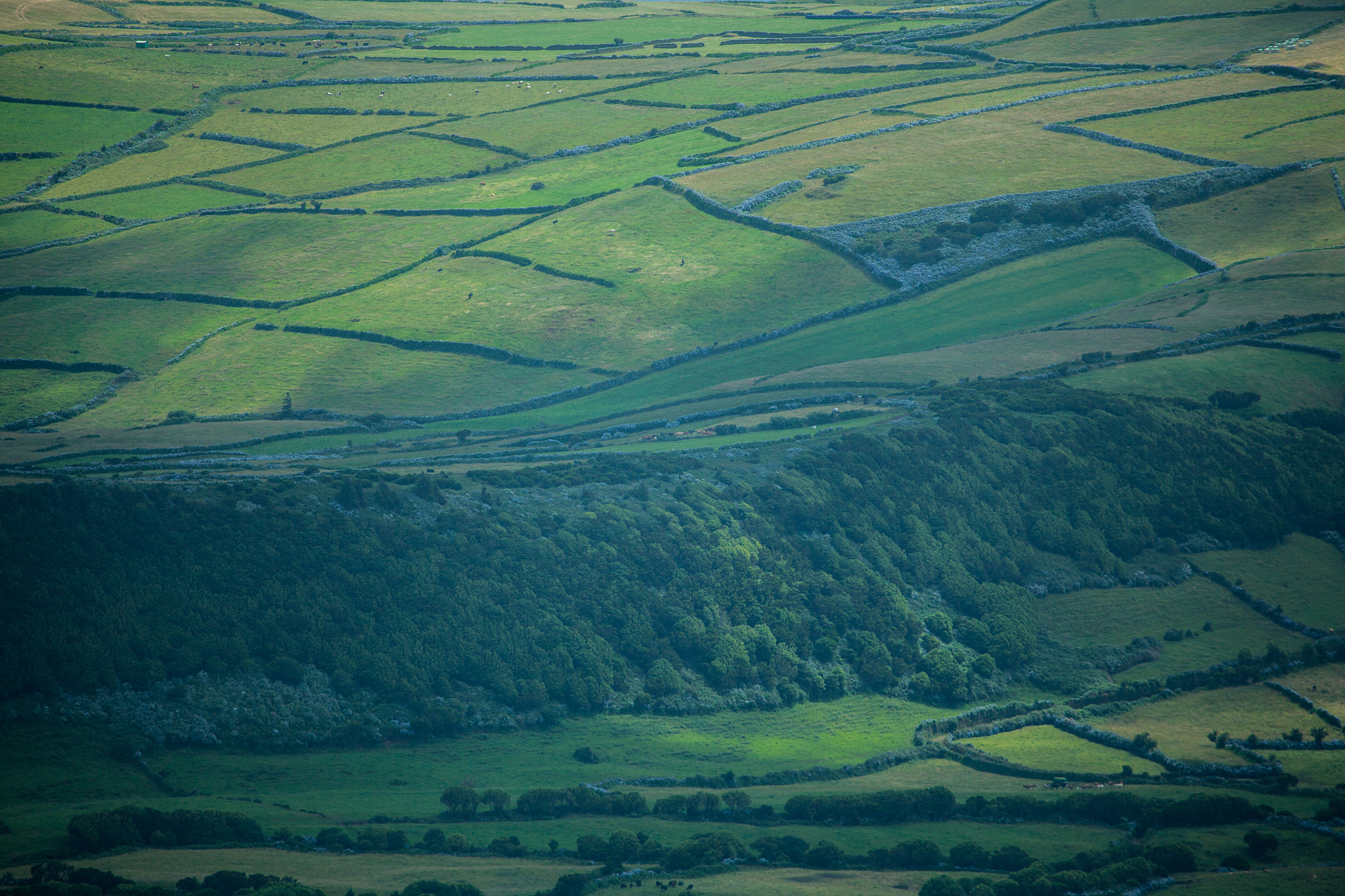landscape on faial island