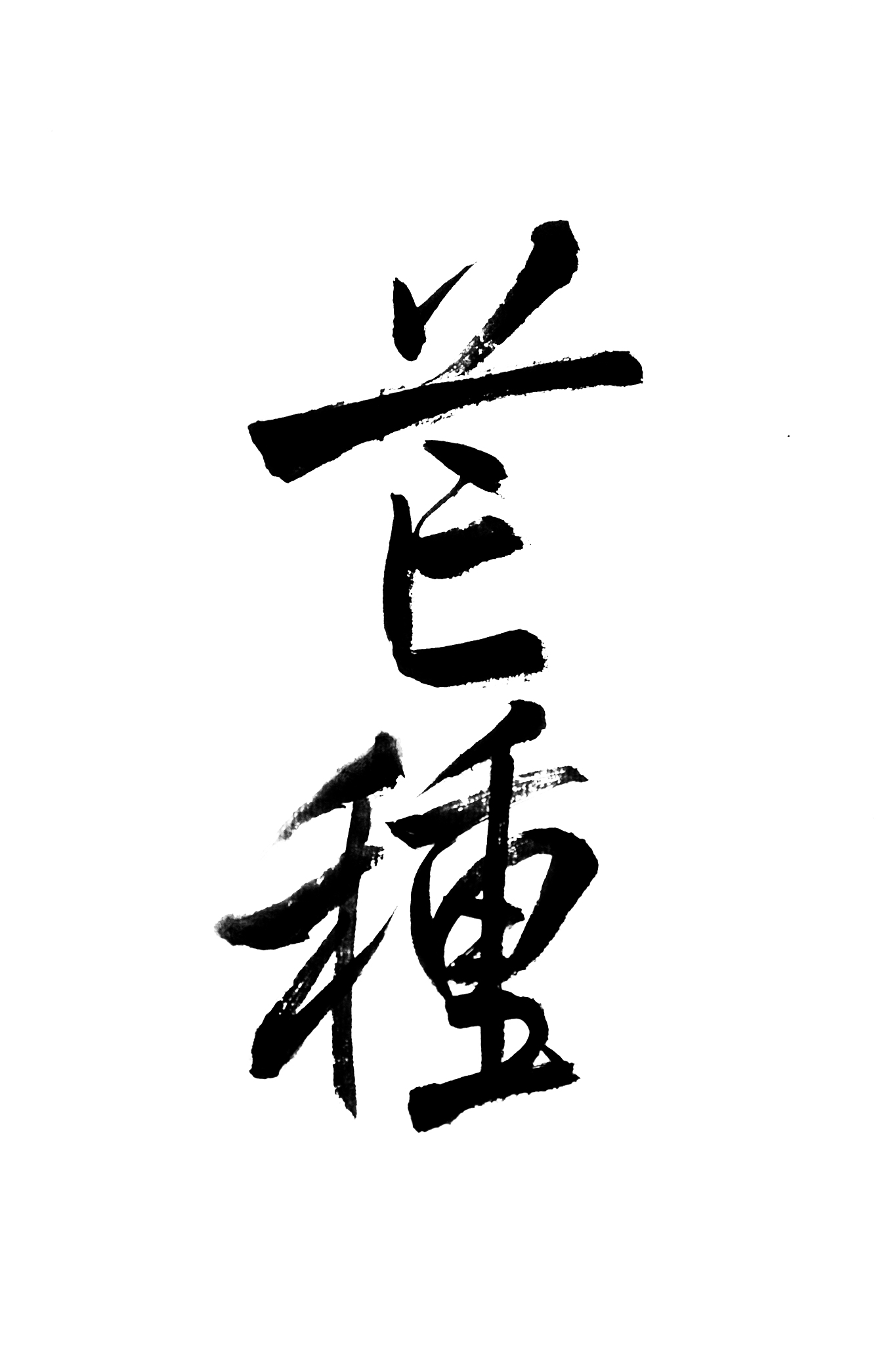 <strong>书法</strong>,汉字,东亚,中国,传统,中国元素,非西方字母,艺术,工艺品,技能