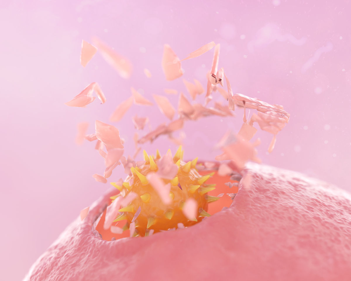 同一个浓度同一个时间下药物一会儿对细胞有防护作用一会儿又有杀伤作用。什么原因呢？